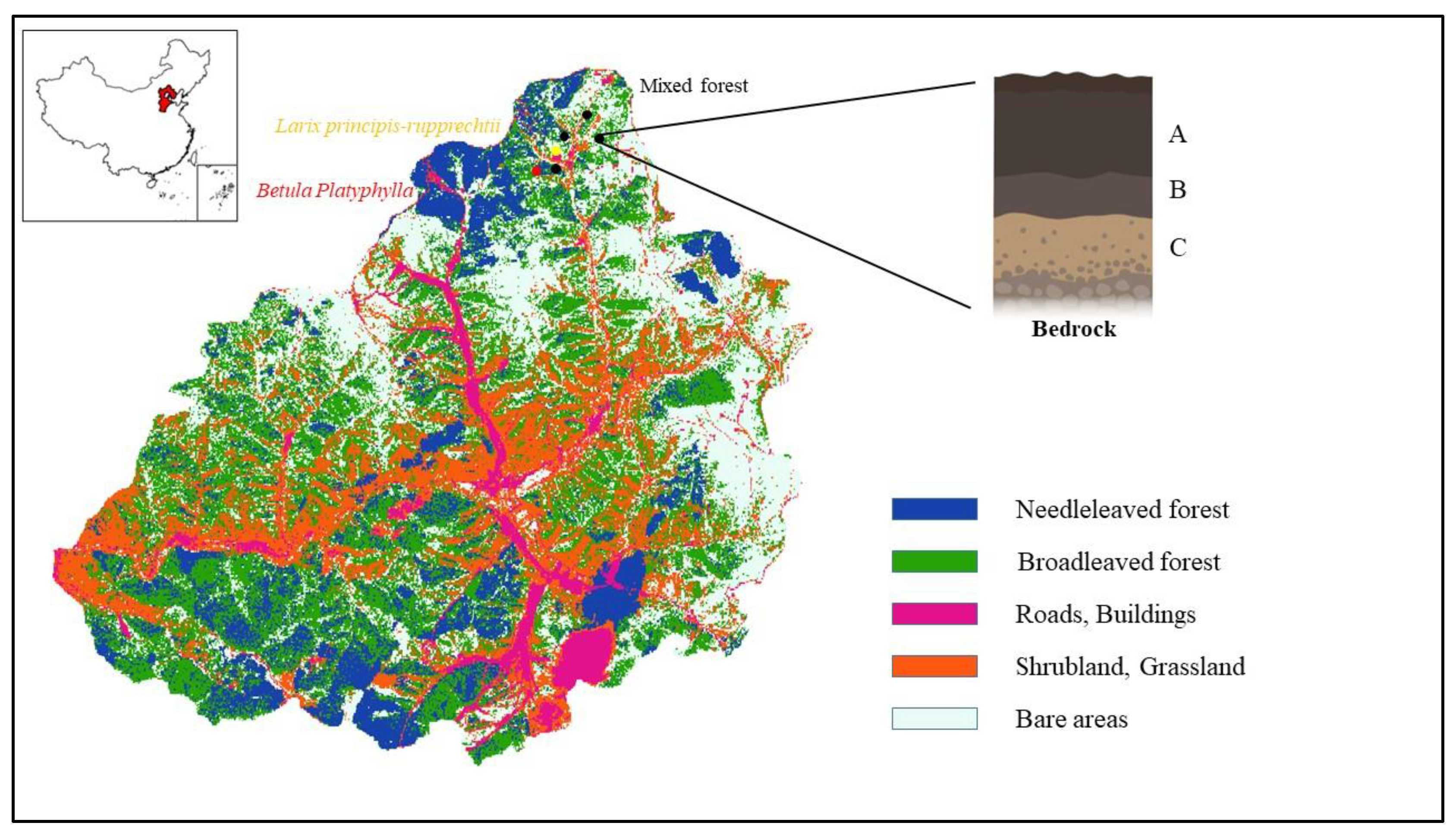 Sustainability 16 08646 g001