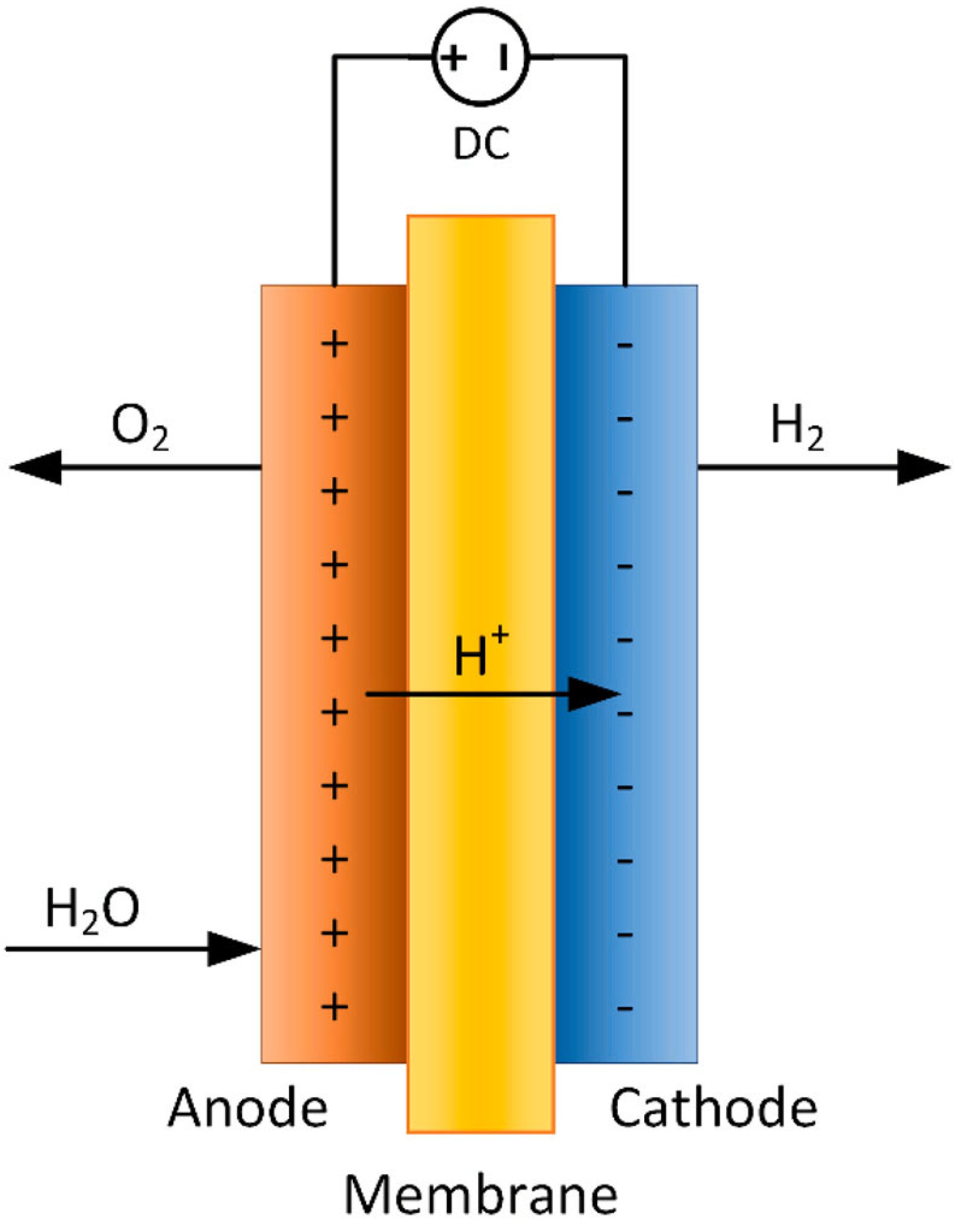 Sustainability 16 08659 g002