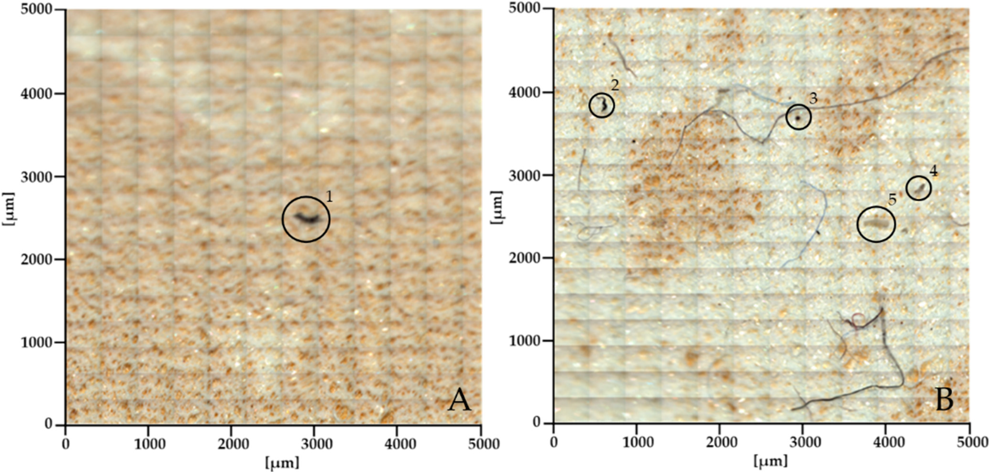 Sustainability 16 08678 g008