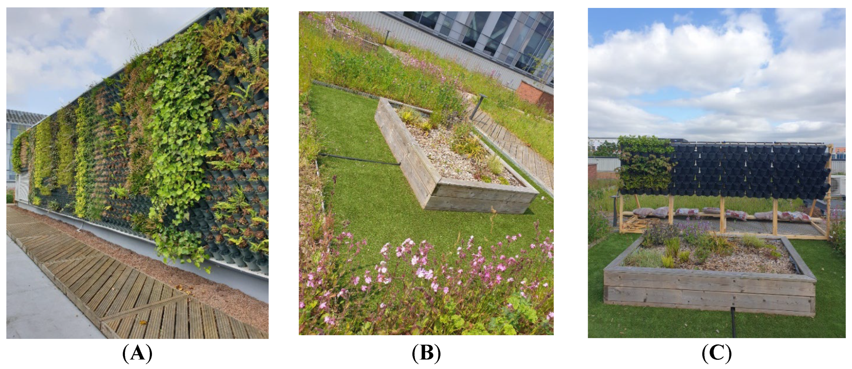 Sustainability 16 08685 g002