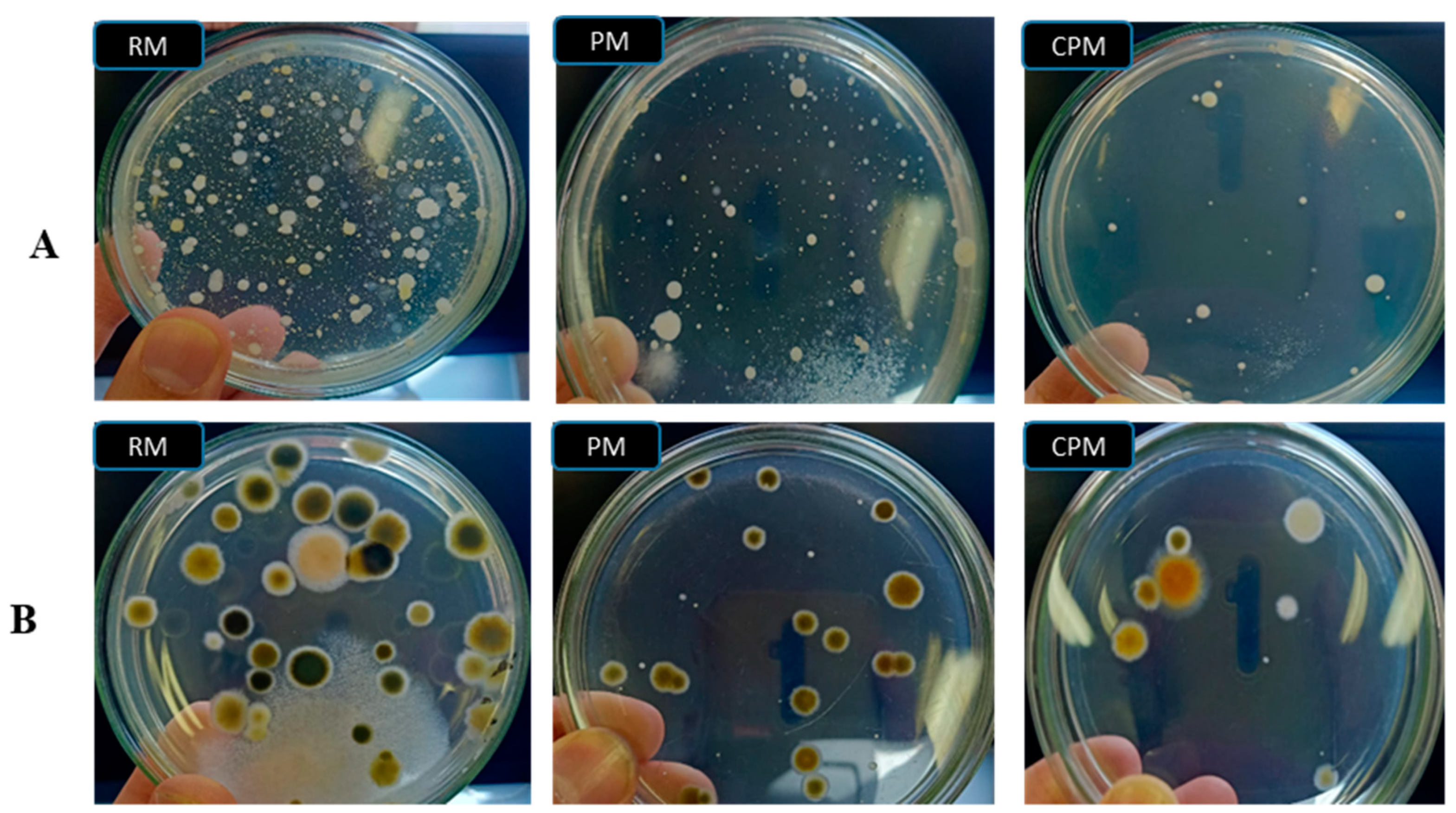 Sustainability 16 08754 g003