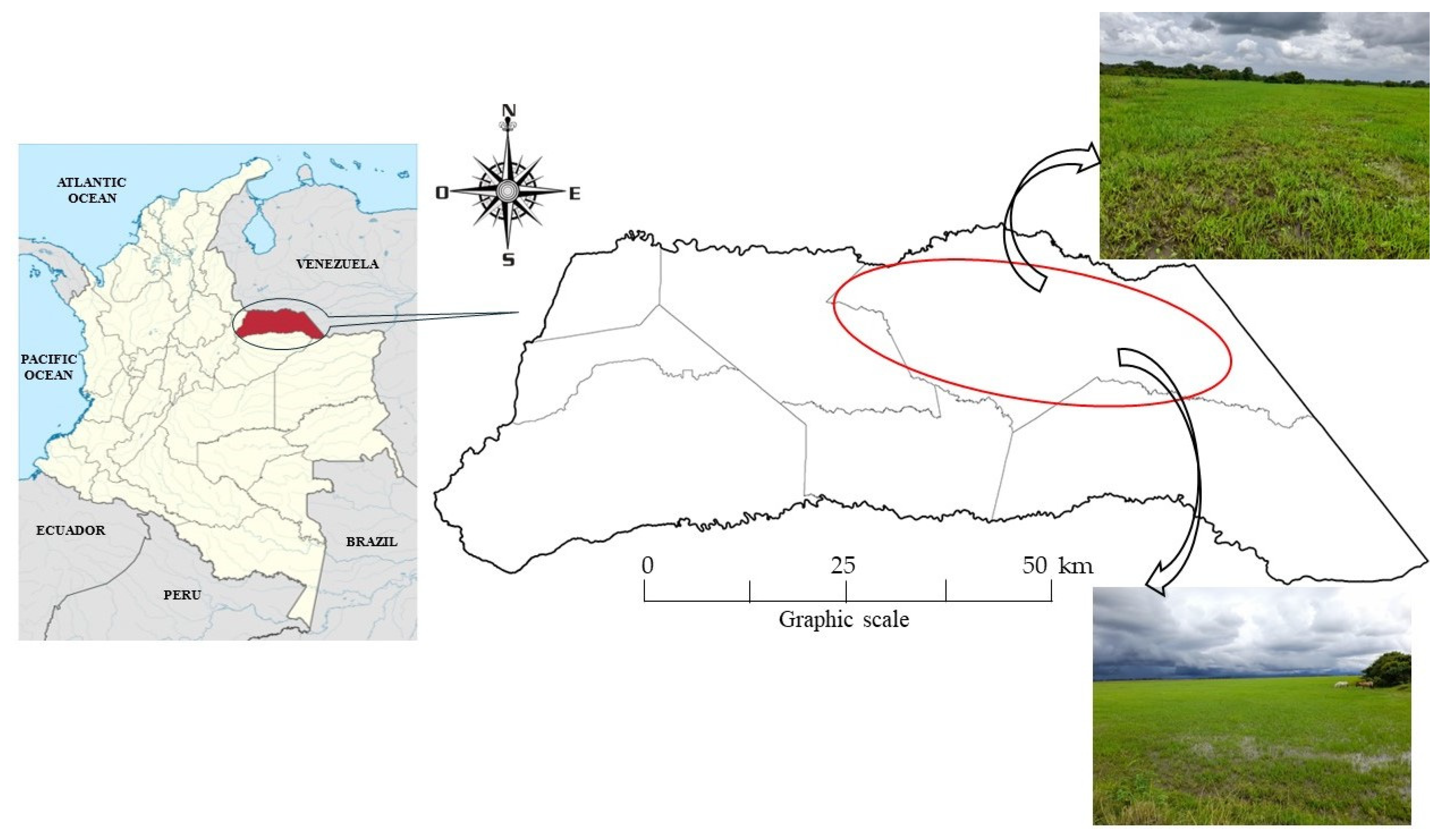 Sustainability 16 08915 g001