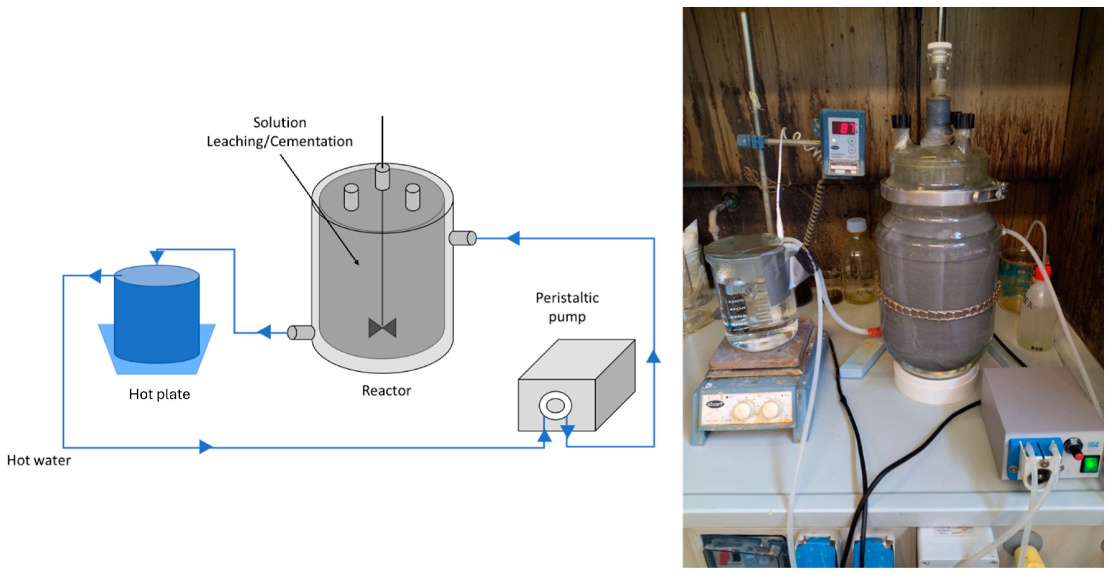 Sustainability 16 08917 g002
