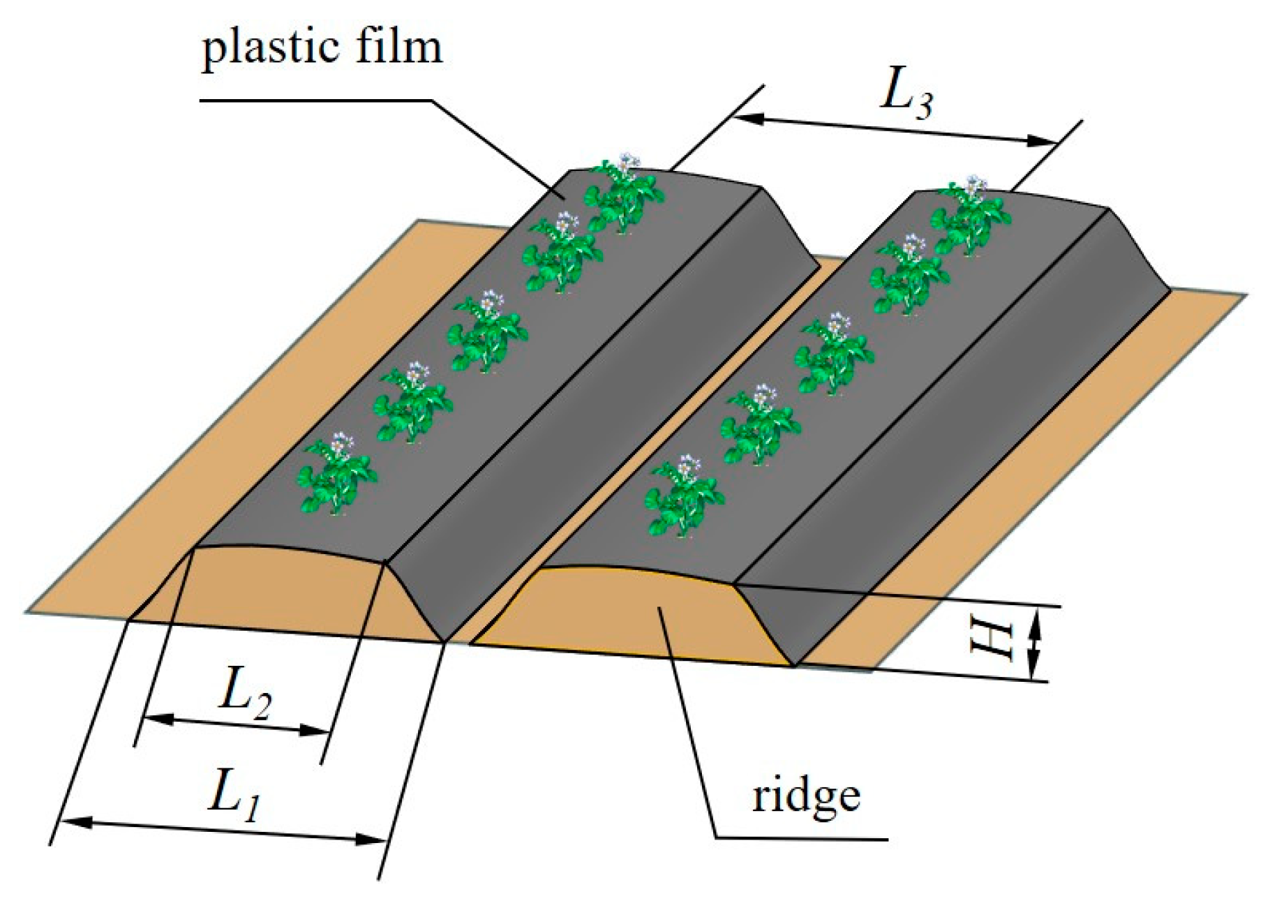 Sustainability 16 08989 g001