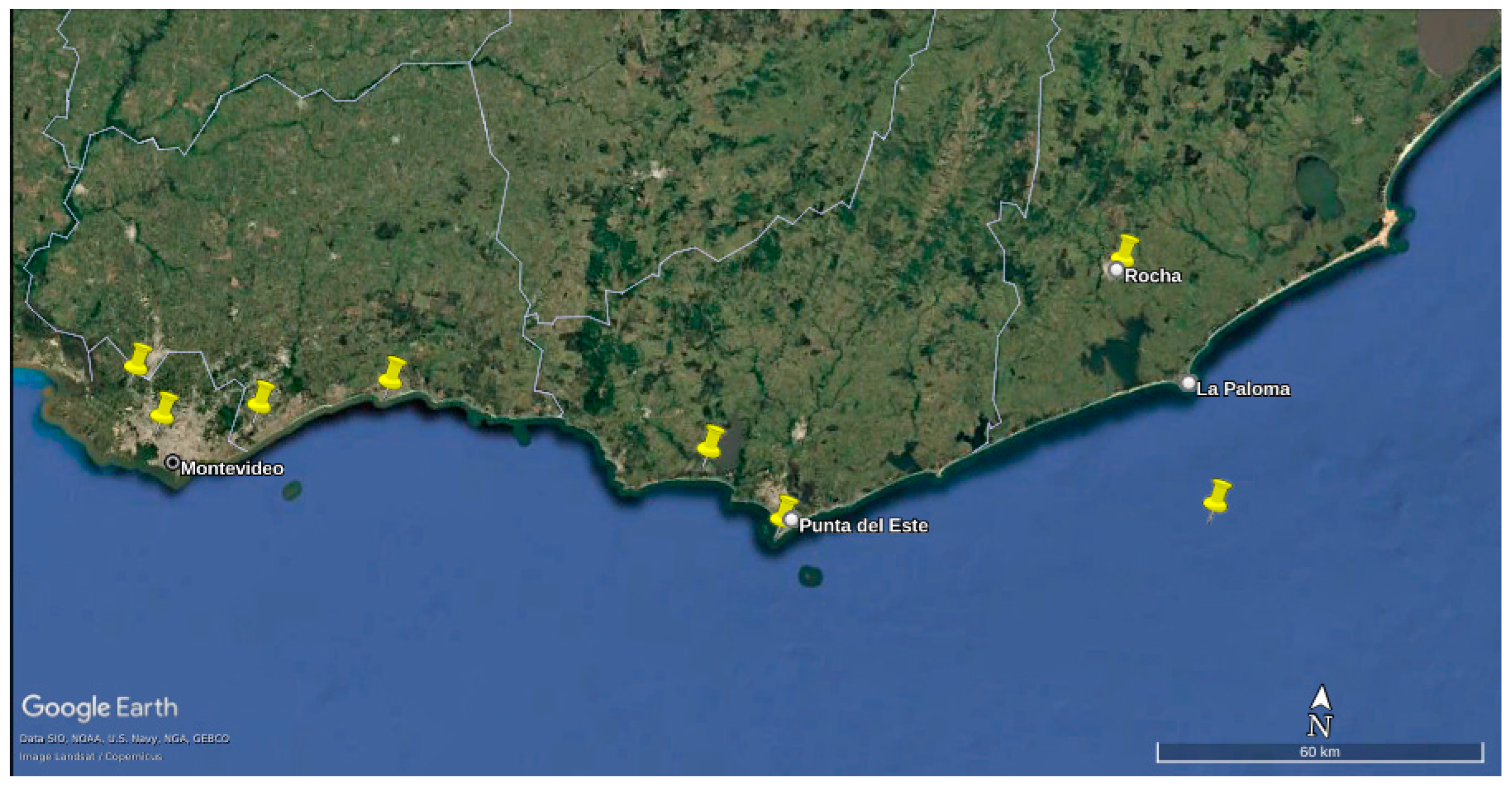 Sustainability 16 09057 g006