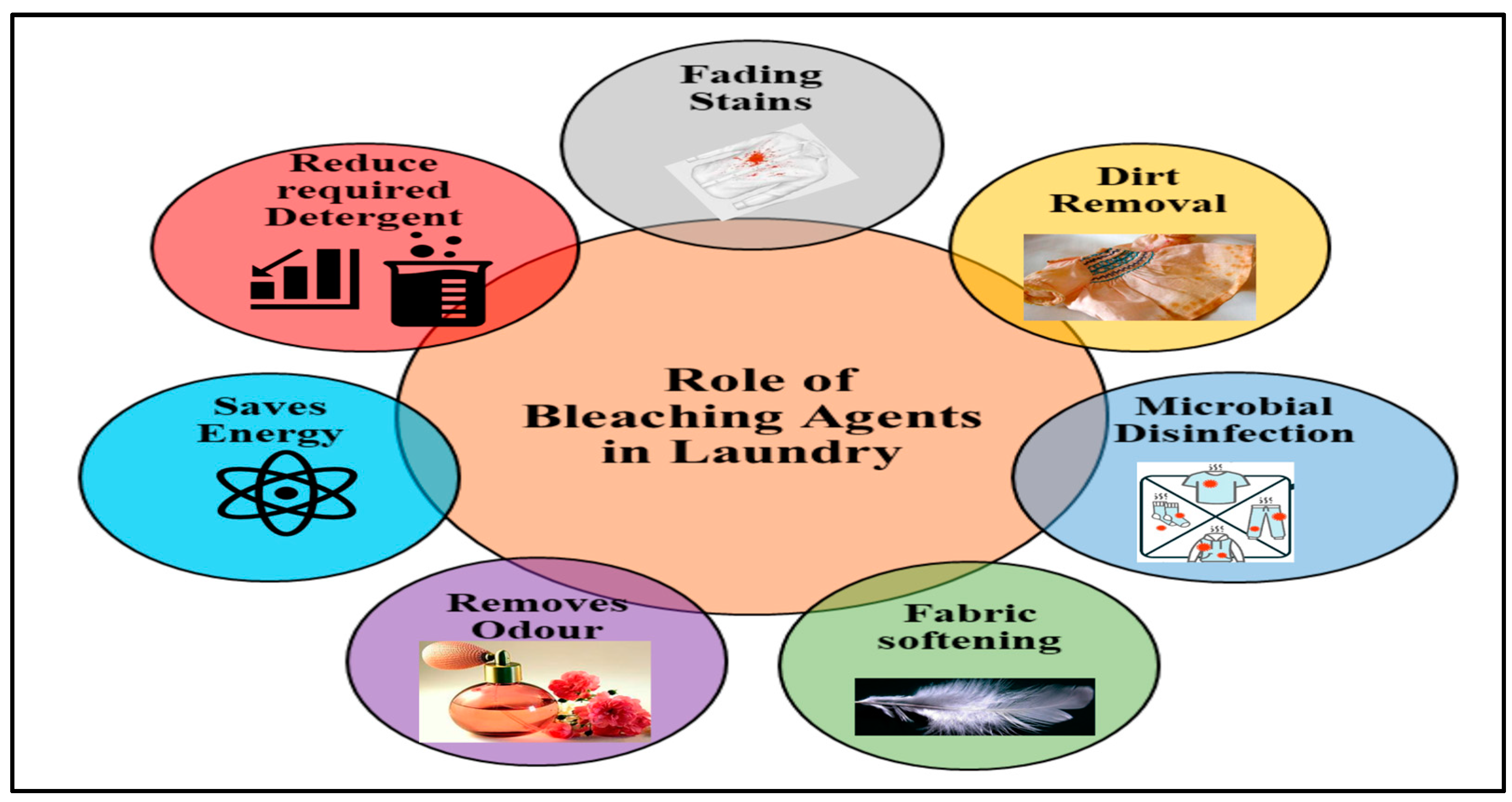 Sustainability 16 09084 g002