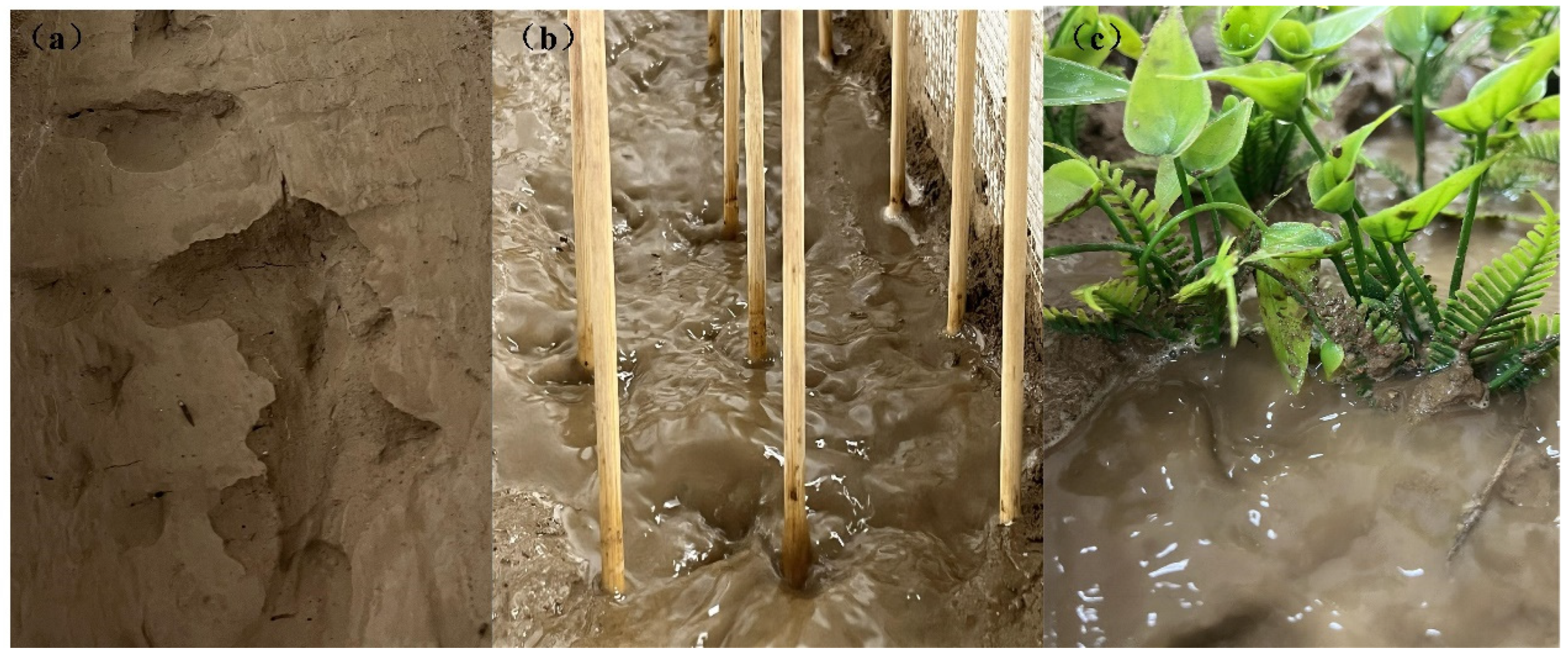 Sustainability 16 09132 g006