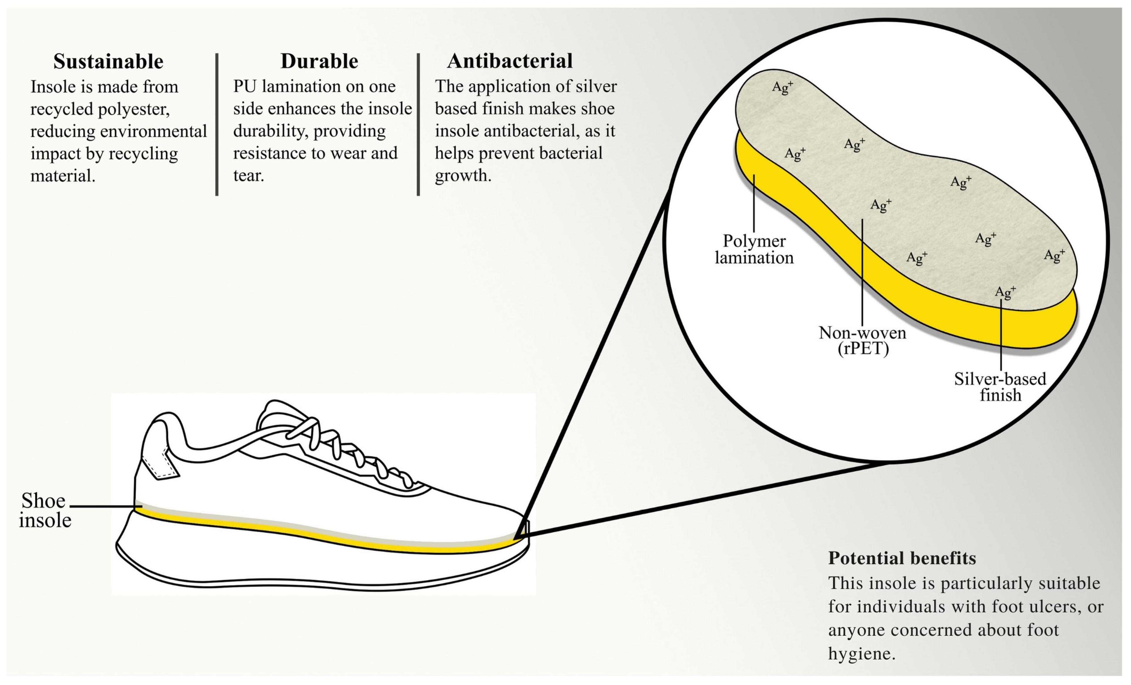 Sustainability 16 09195 g002