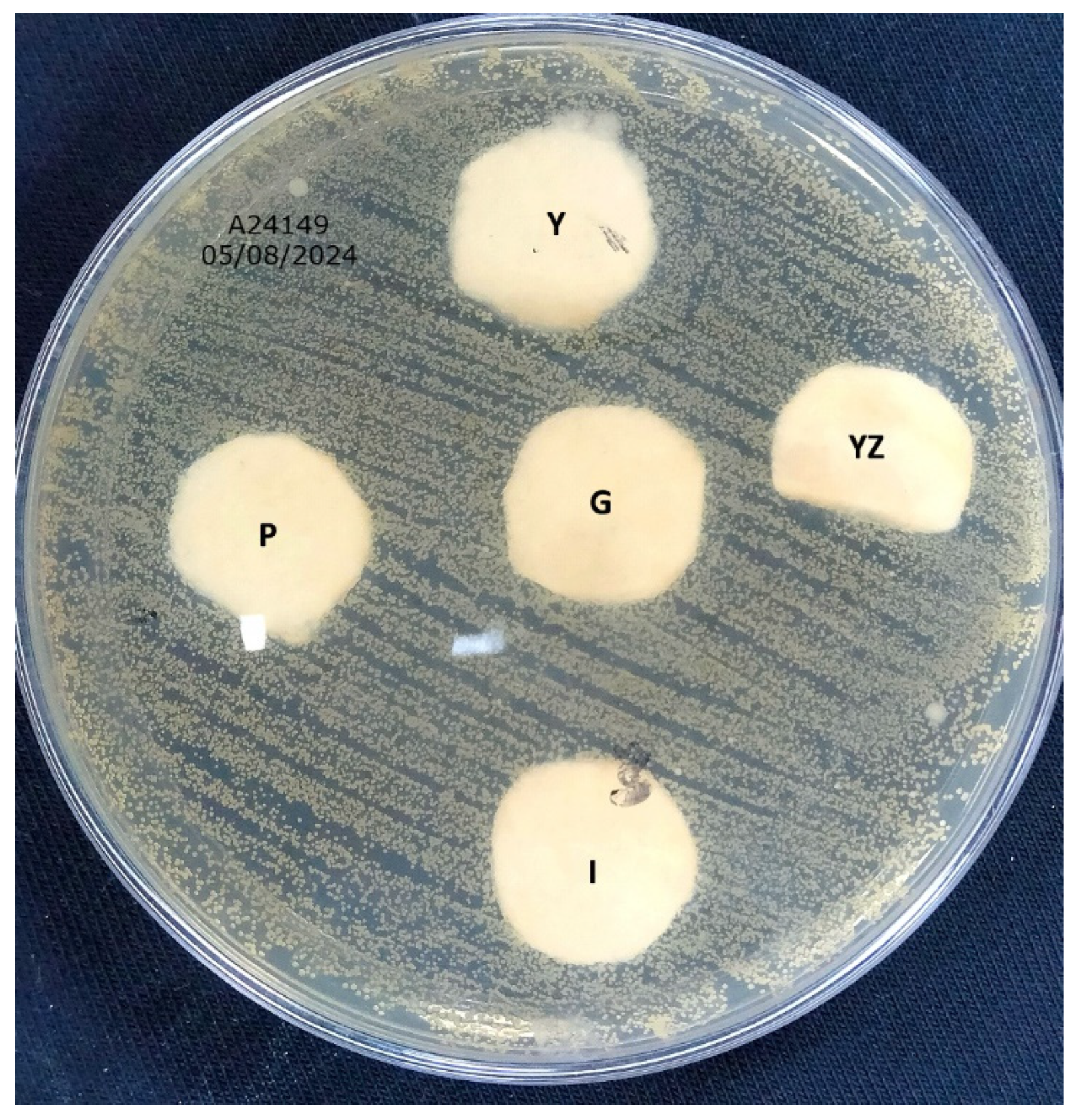 Sustainability 16 09195 g004