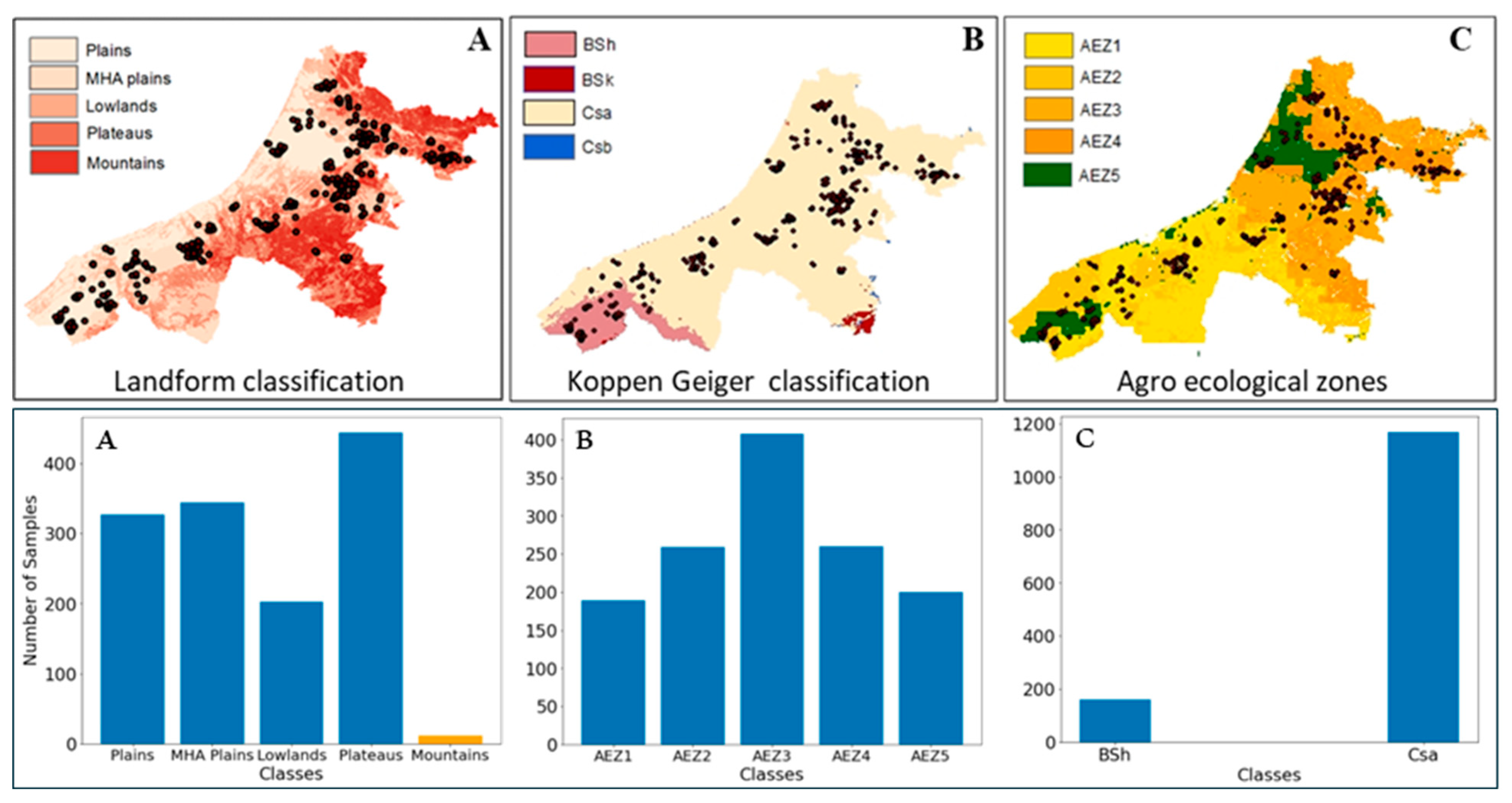 Sustainability 16 09196 g002