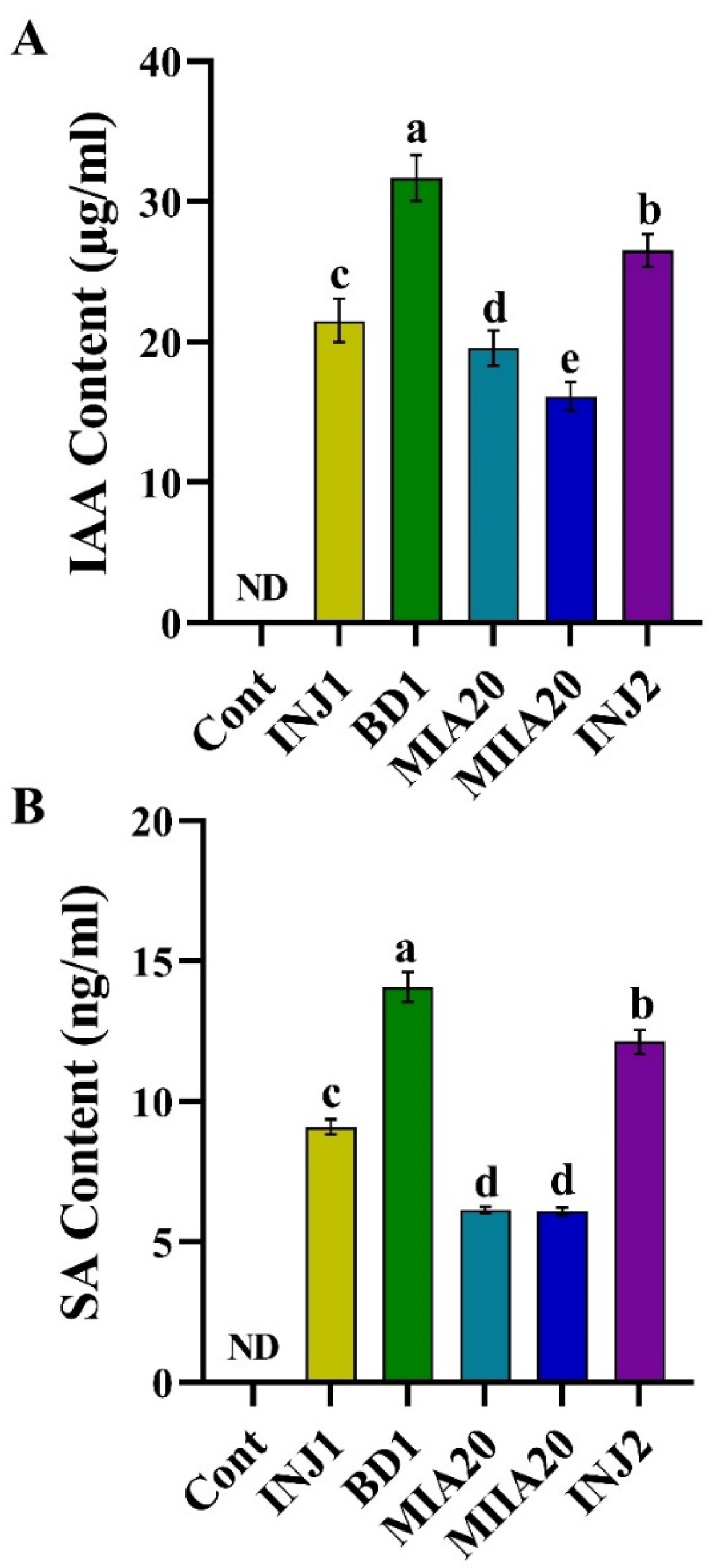 Sustainability 16 09263 g004