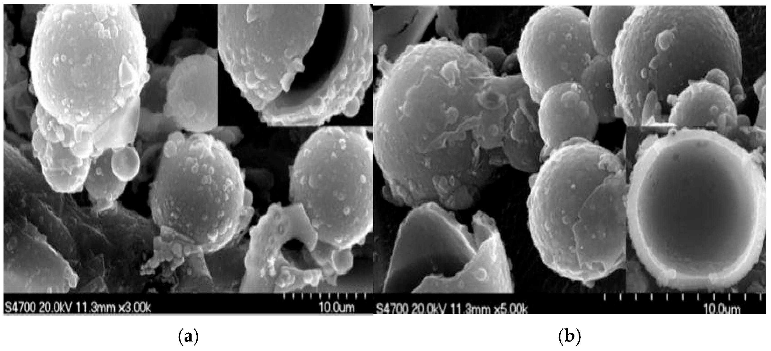 Sustainability 16 09317 g006