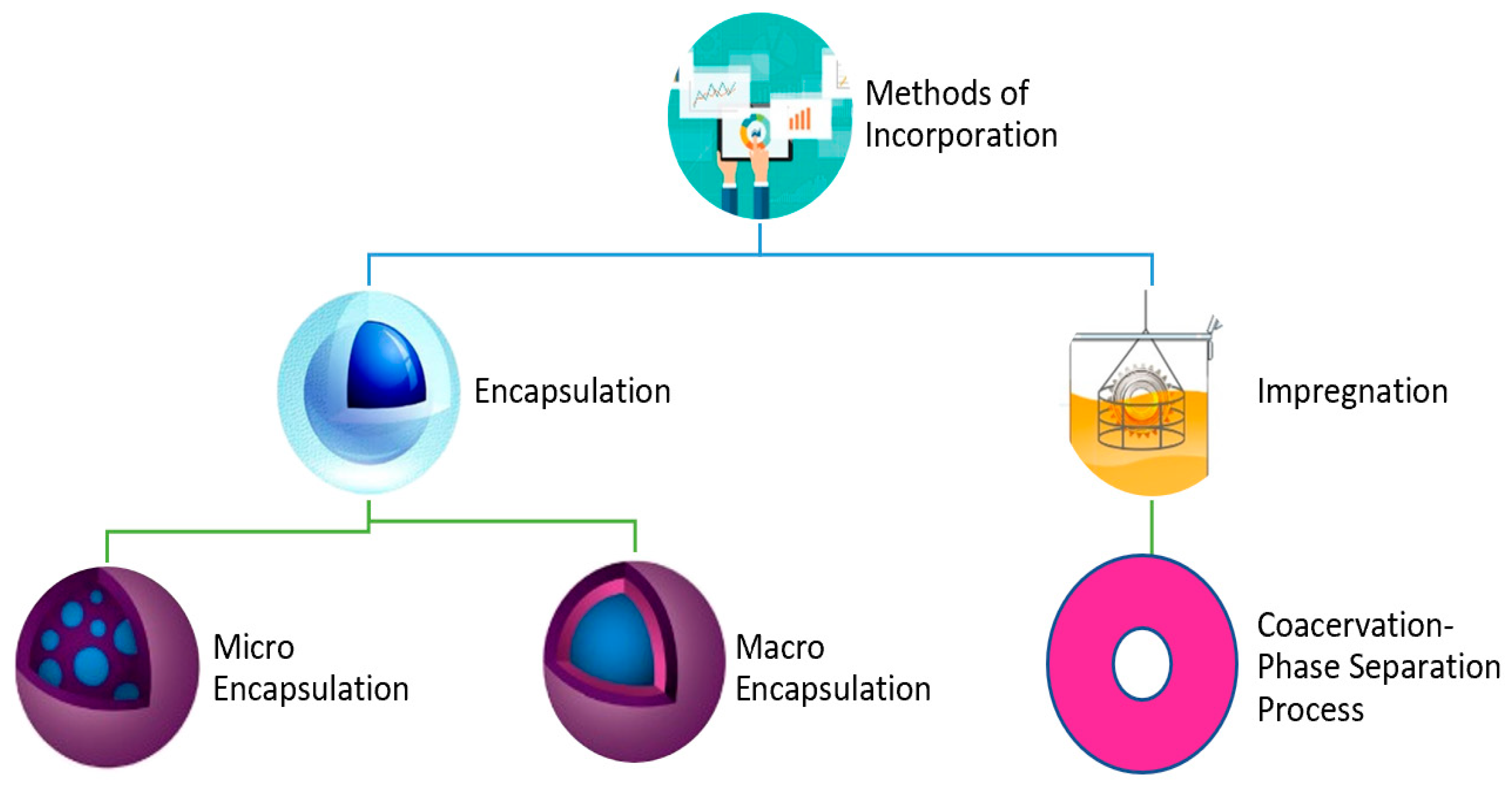 Sustainability 16 09317 g007