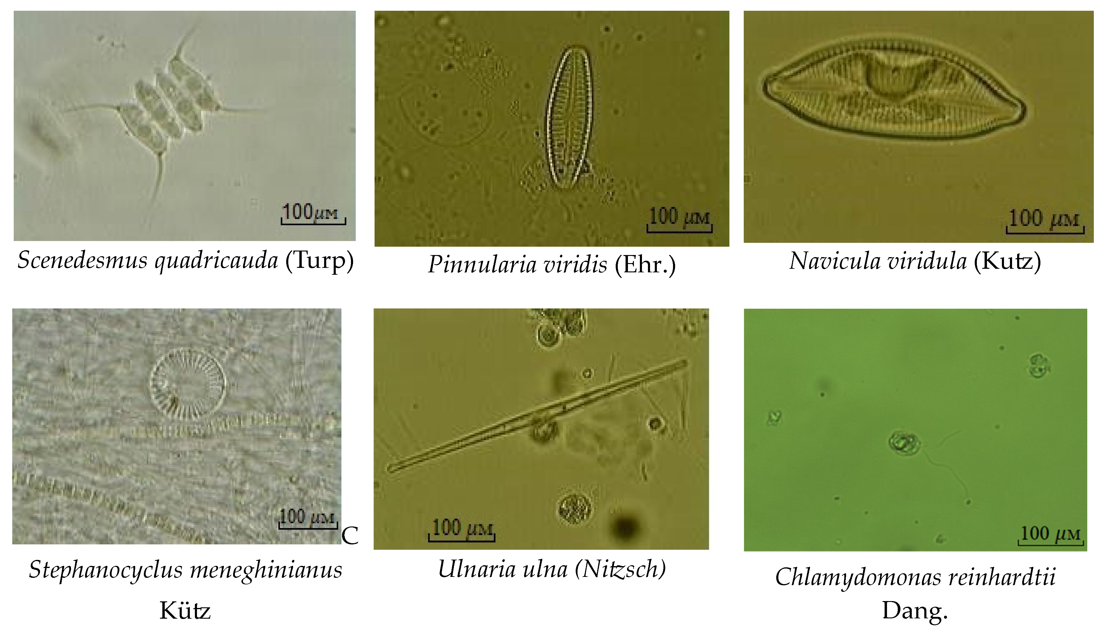 Sustainability 16 09628 g003