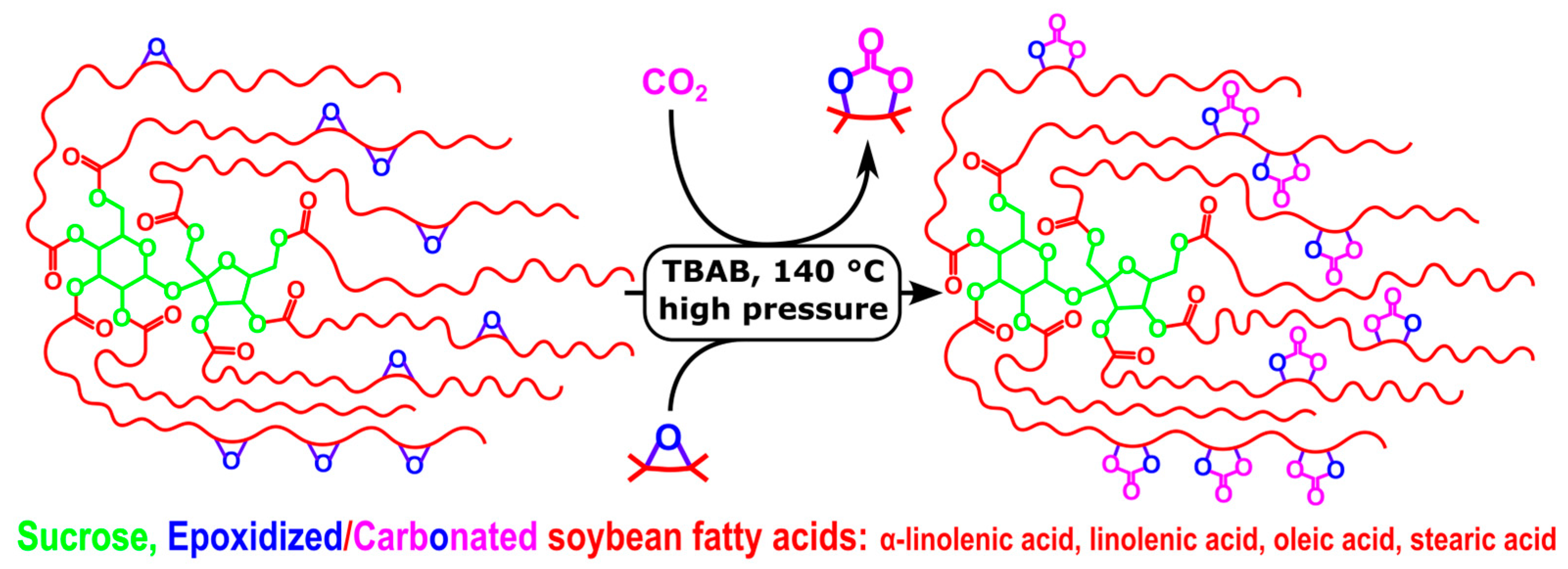Sustainability 16 09911 g007