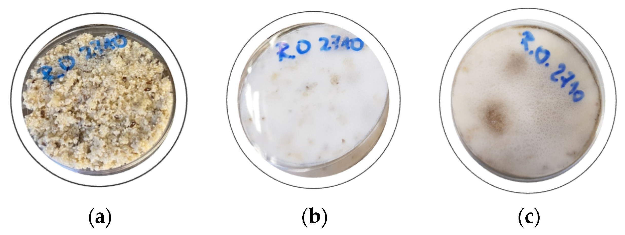 Sustainability 16 09936 g002 Sustainability 16 09936 g002