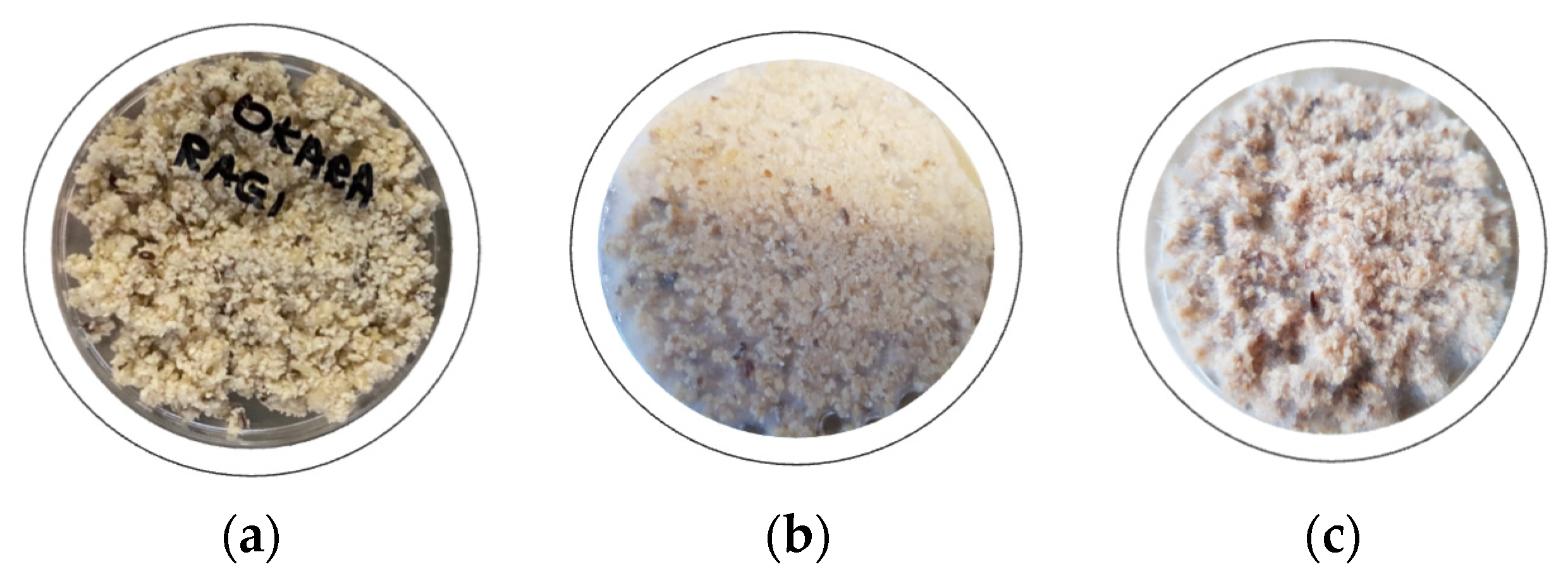 Sustainability 16 09936 g003 Sustainability 16 09936 g003