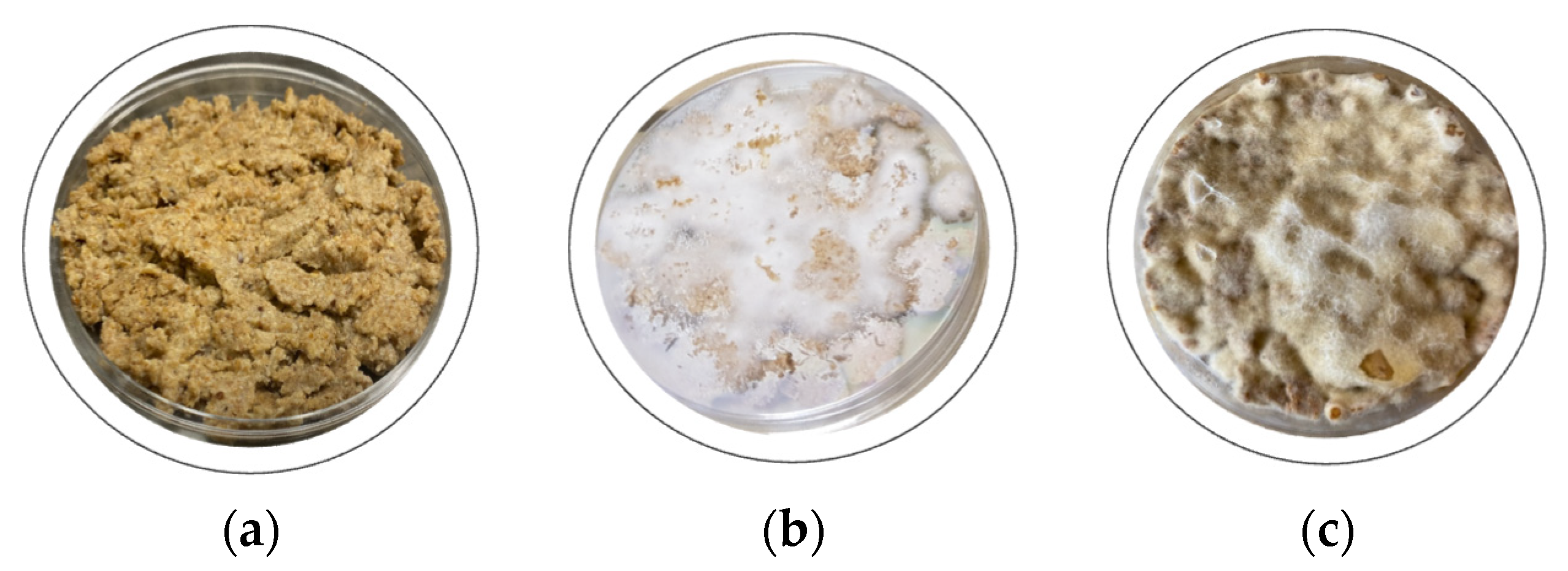 Sustainability 16 09936 g005 Sustainability 16 09936 g005