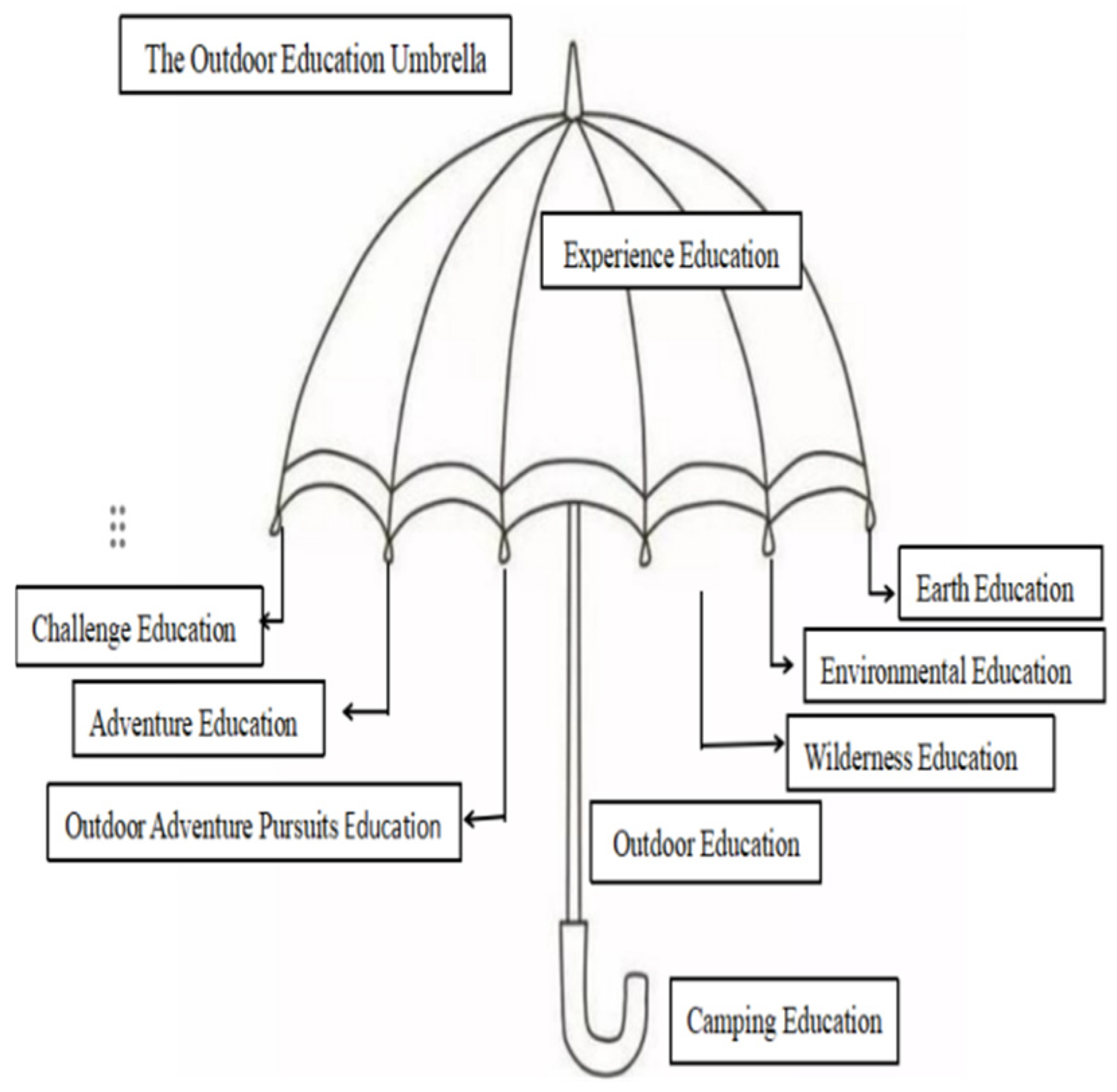 Sustainability 16 10034 g002