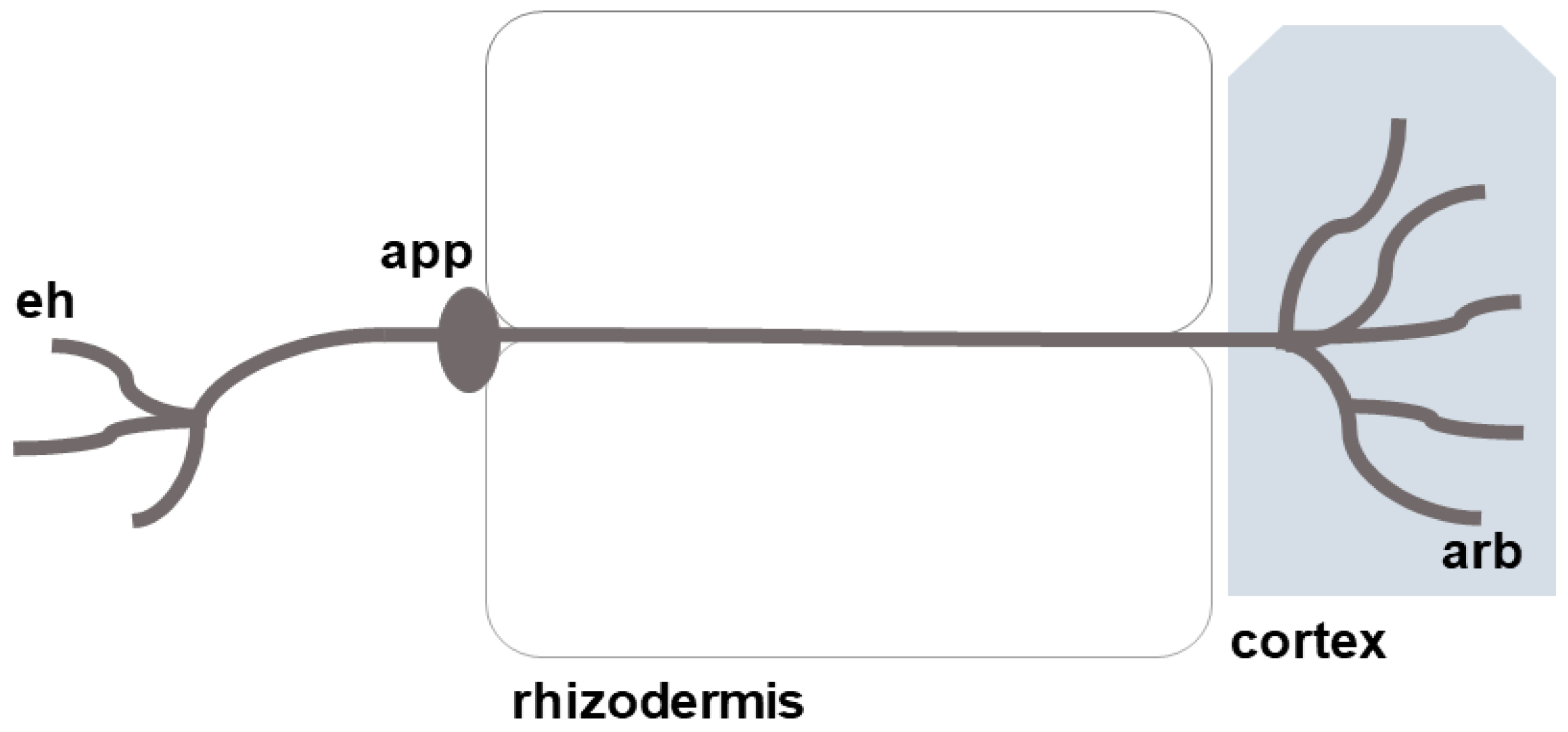 Sustainability 16 10072 g004