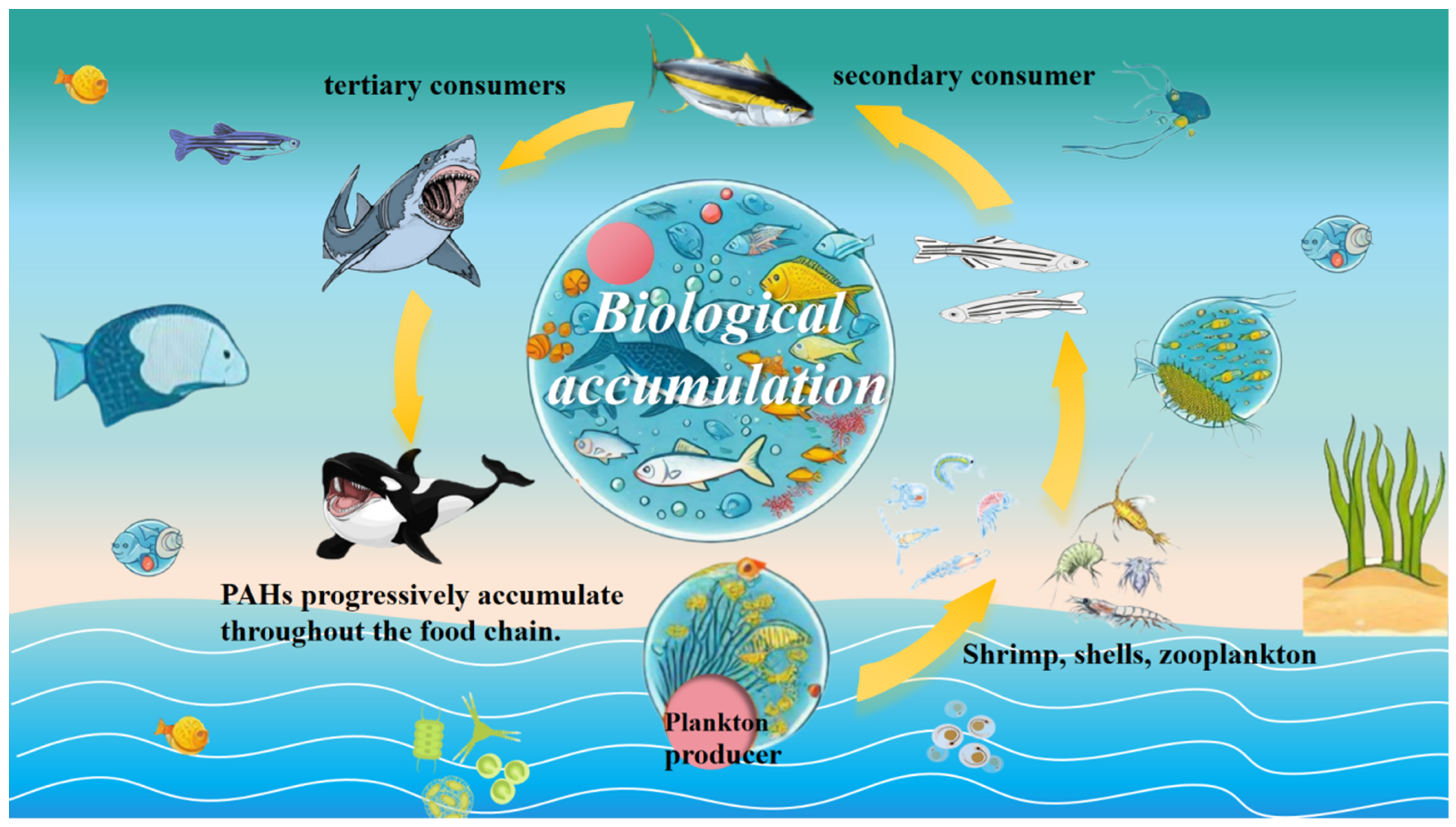 Sustainability 16 10346 g004 Sustainability 16 10346 g004