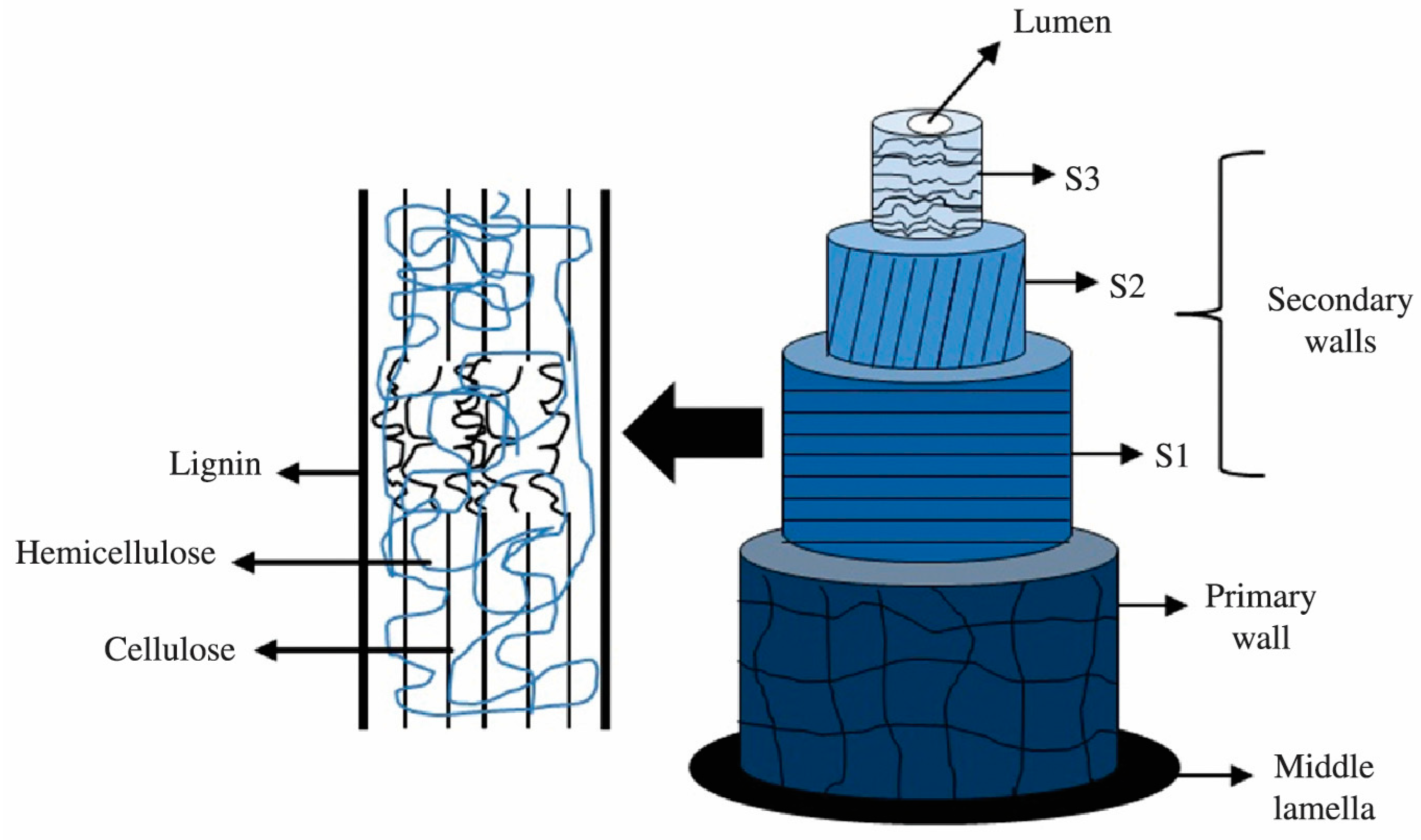 Sustainability 16 10368 g001