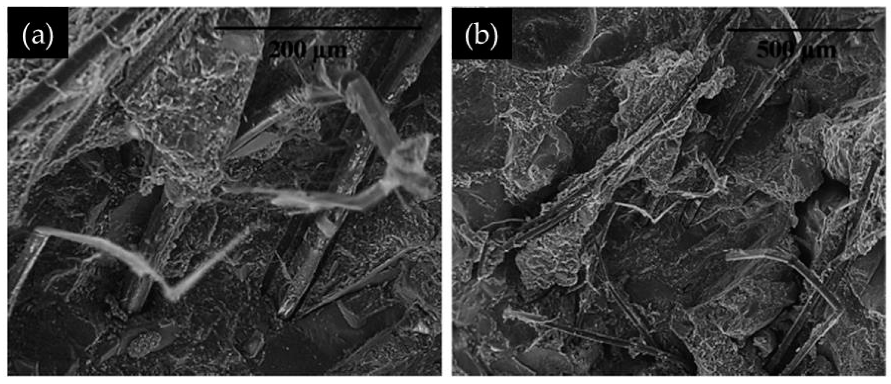 Sustainability 16 10368 g005