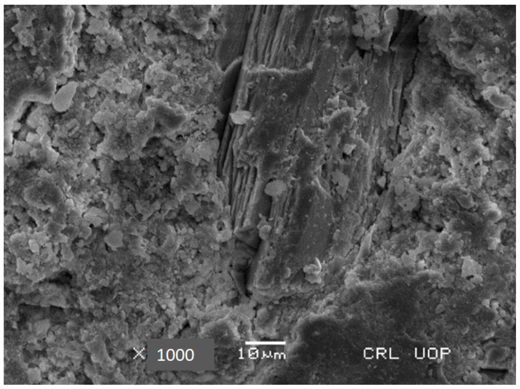 Sustainability 16 10385 g023