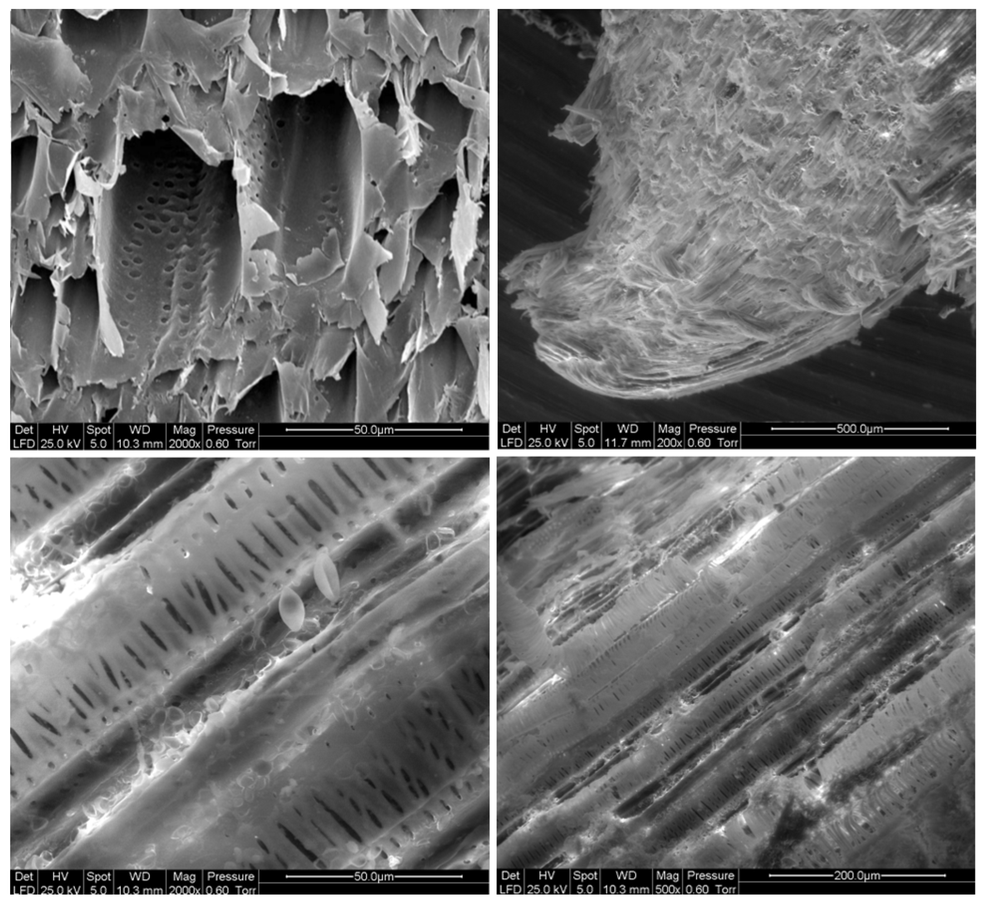 Sustainability 16 10404 g003