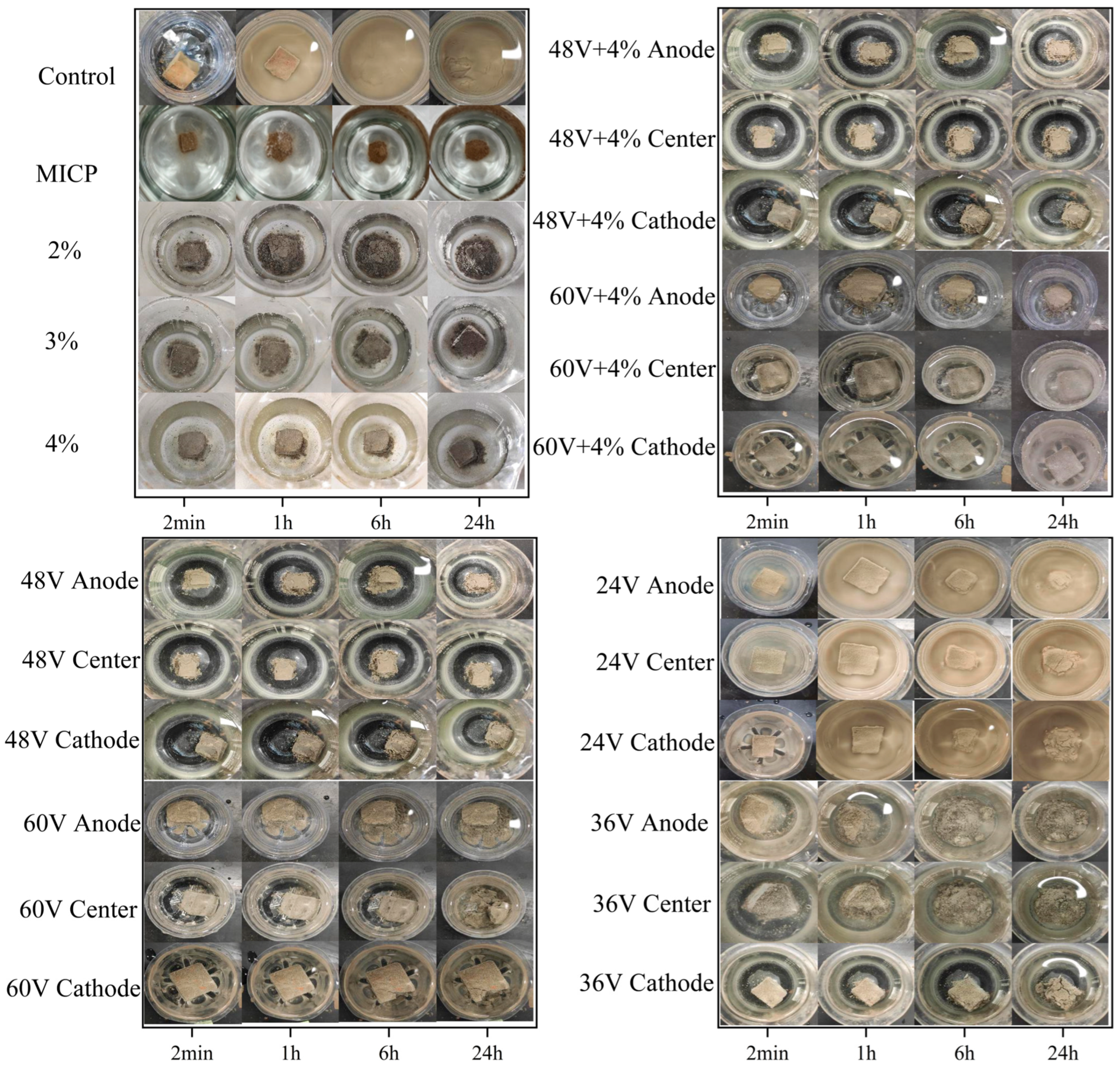 Sustainability 16 10425 g005