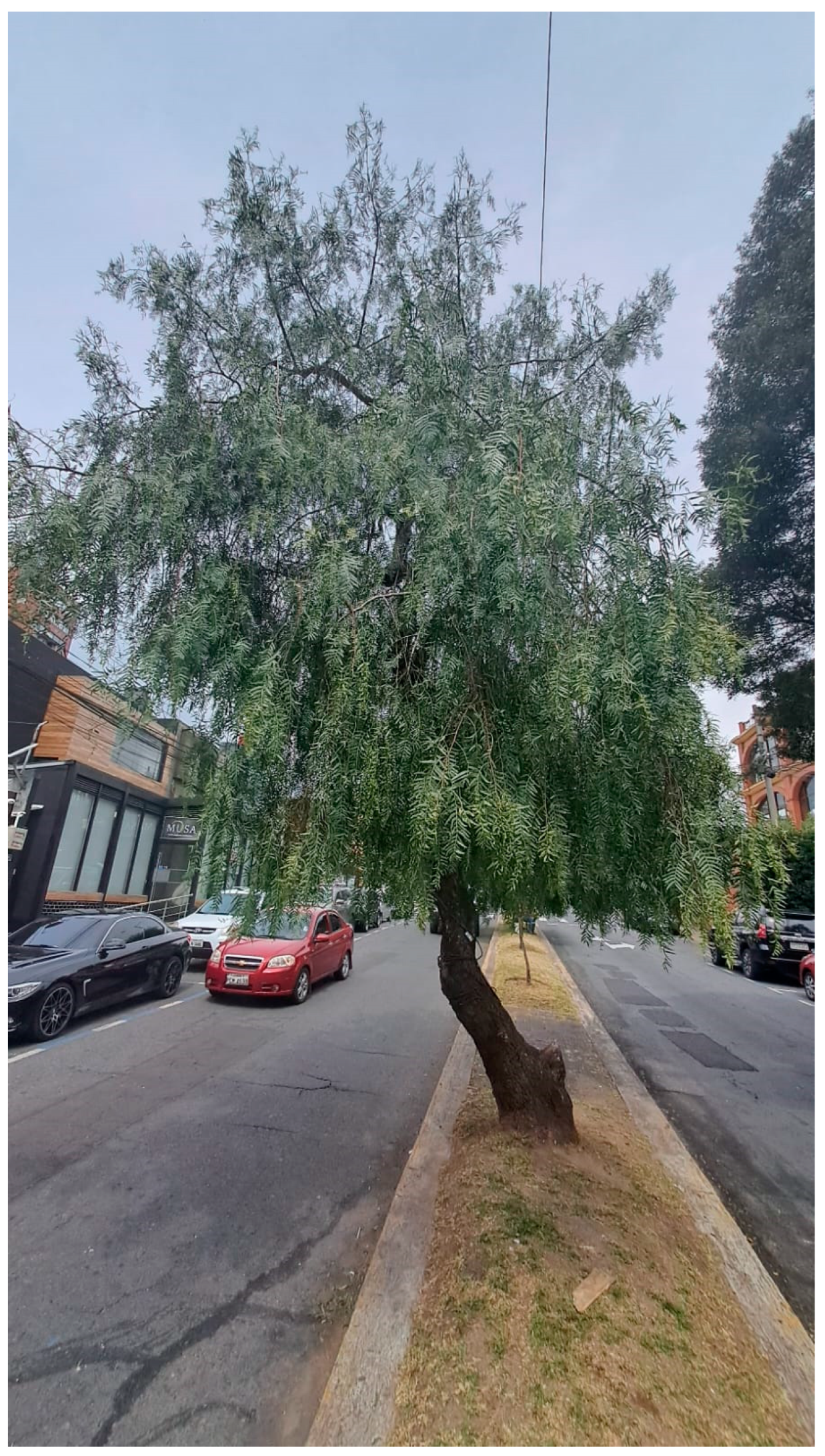 Sustainability 16 10444 g001