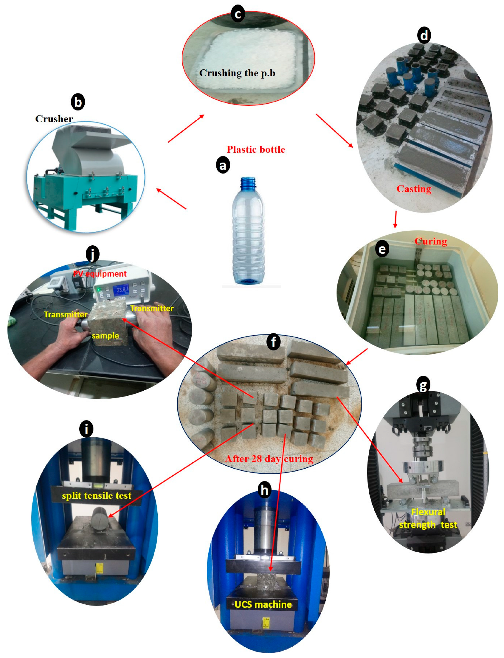 Sustainability 16 10522 g001