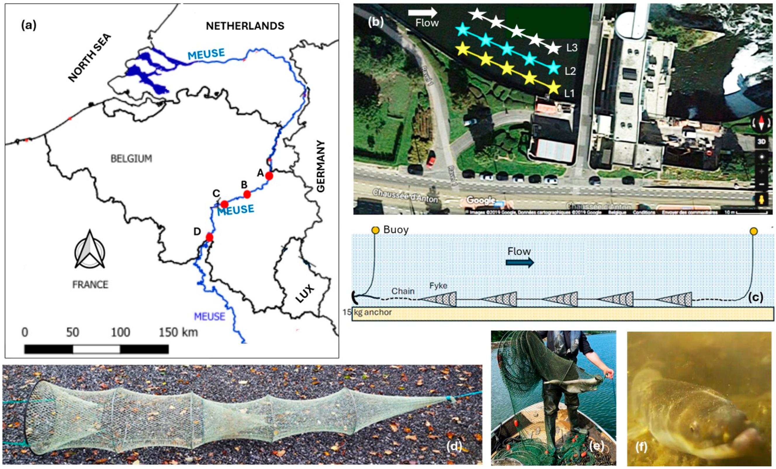 Sustainability 16 10607 g001