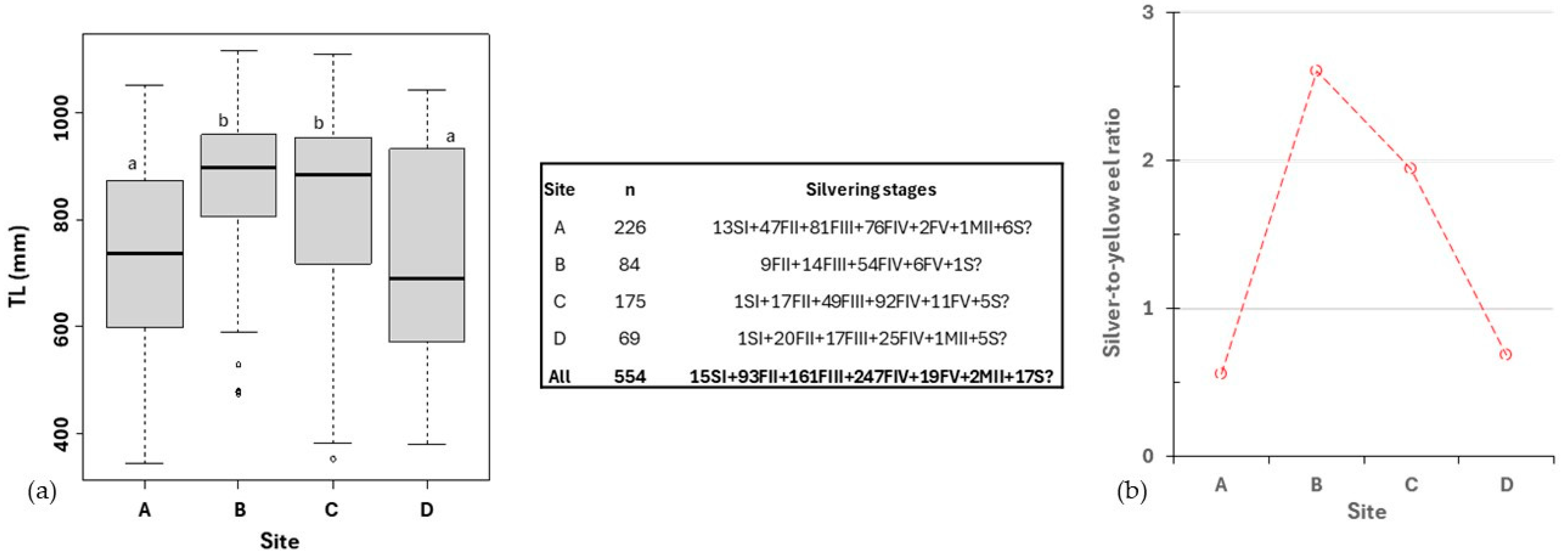 Sustainability 16 10607 g003