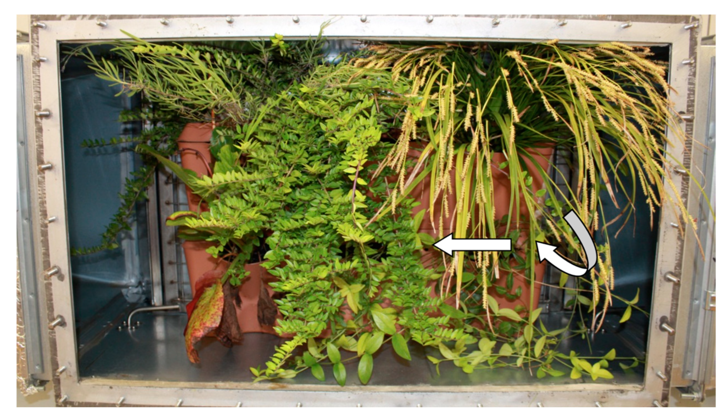 Sustainability 16 10733 g003