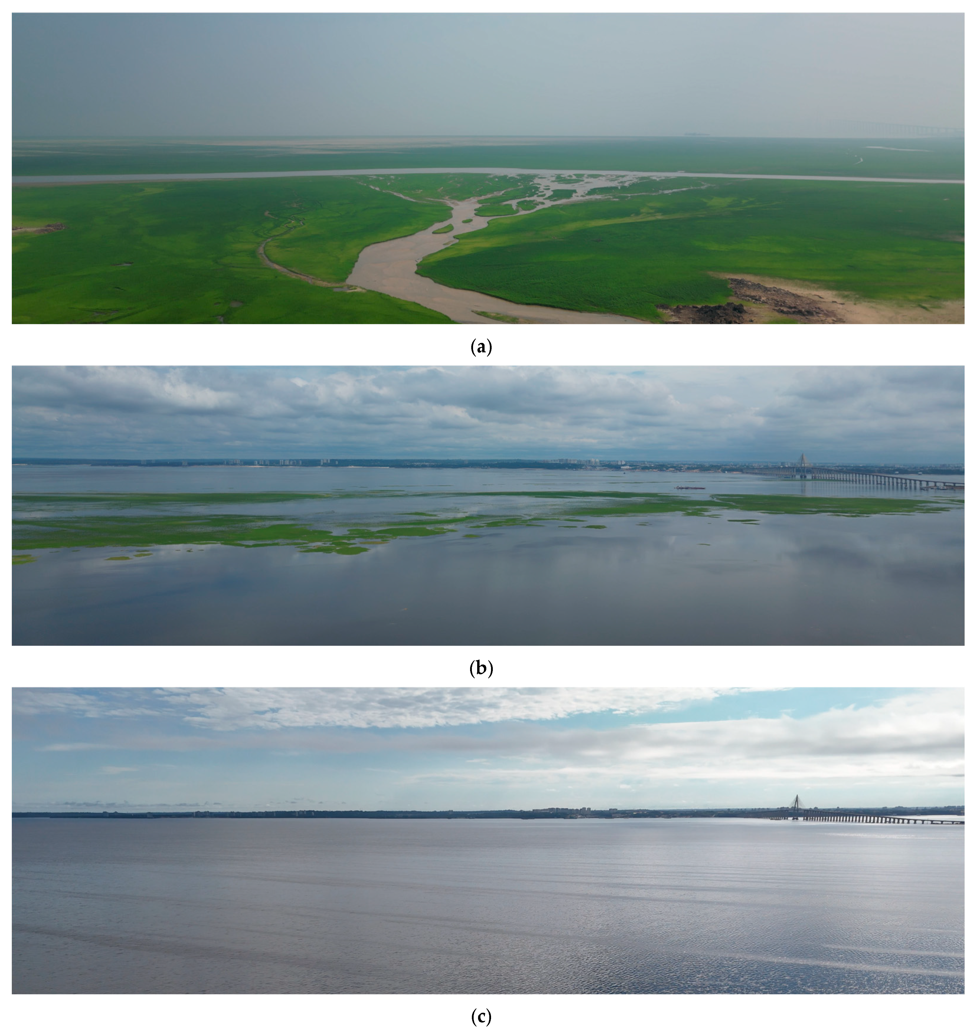 Sustainability 16 10743 g003