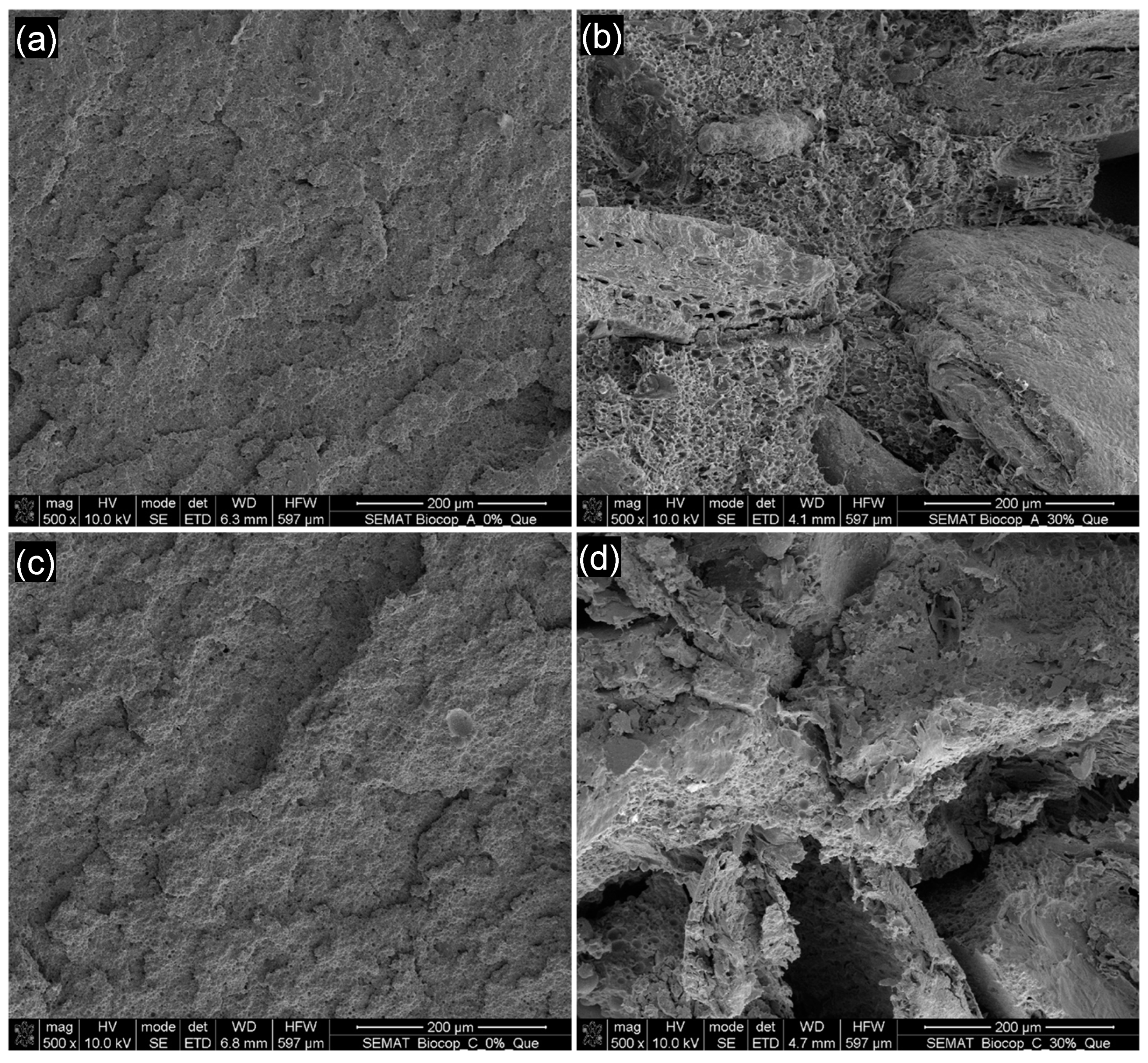 Sustainability 16 11051 g005
