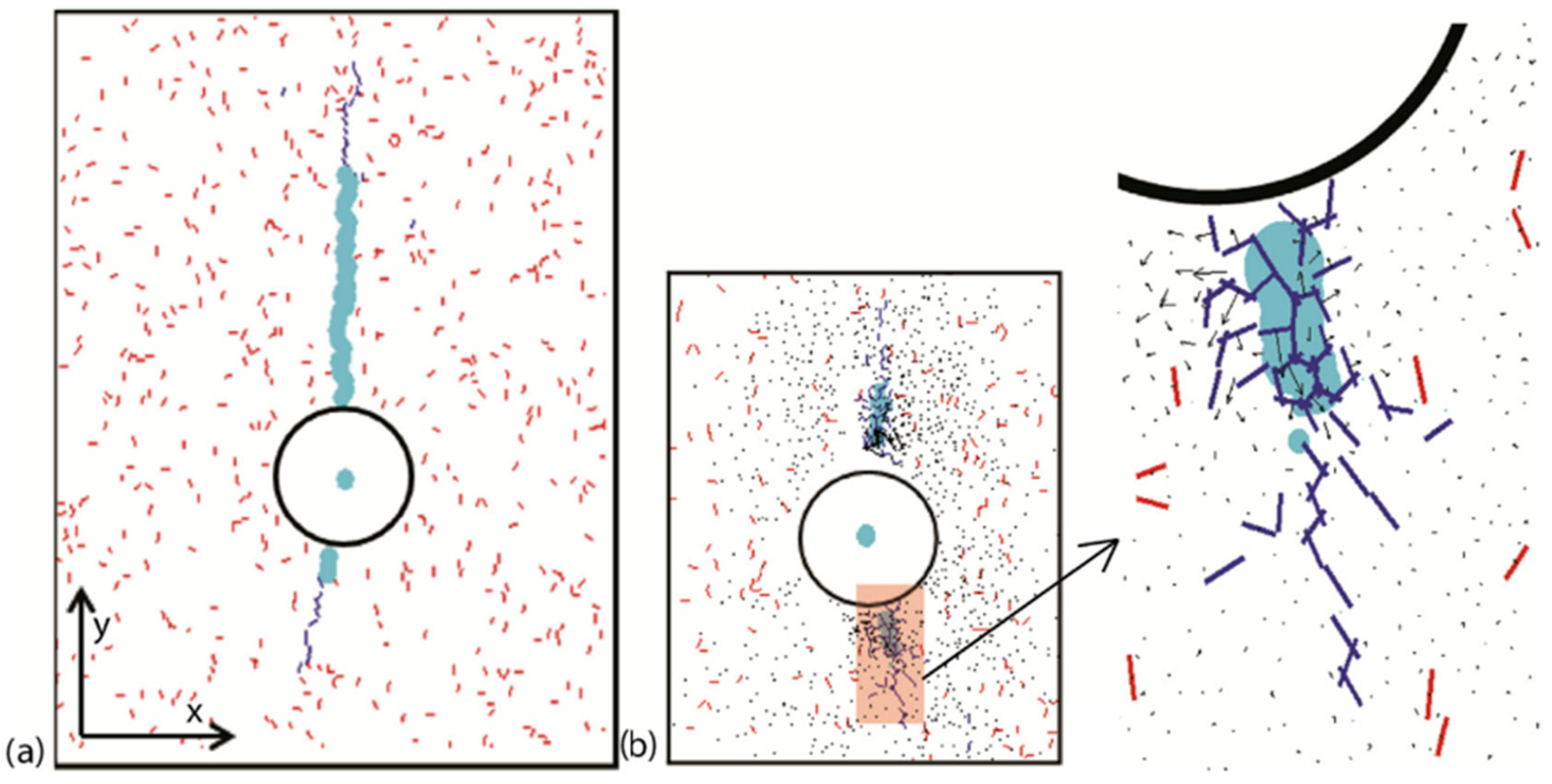 Sustainability 16 11087 g014