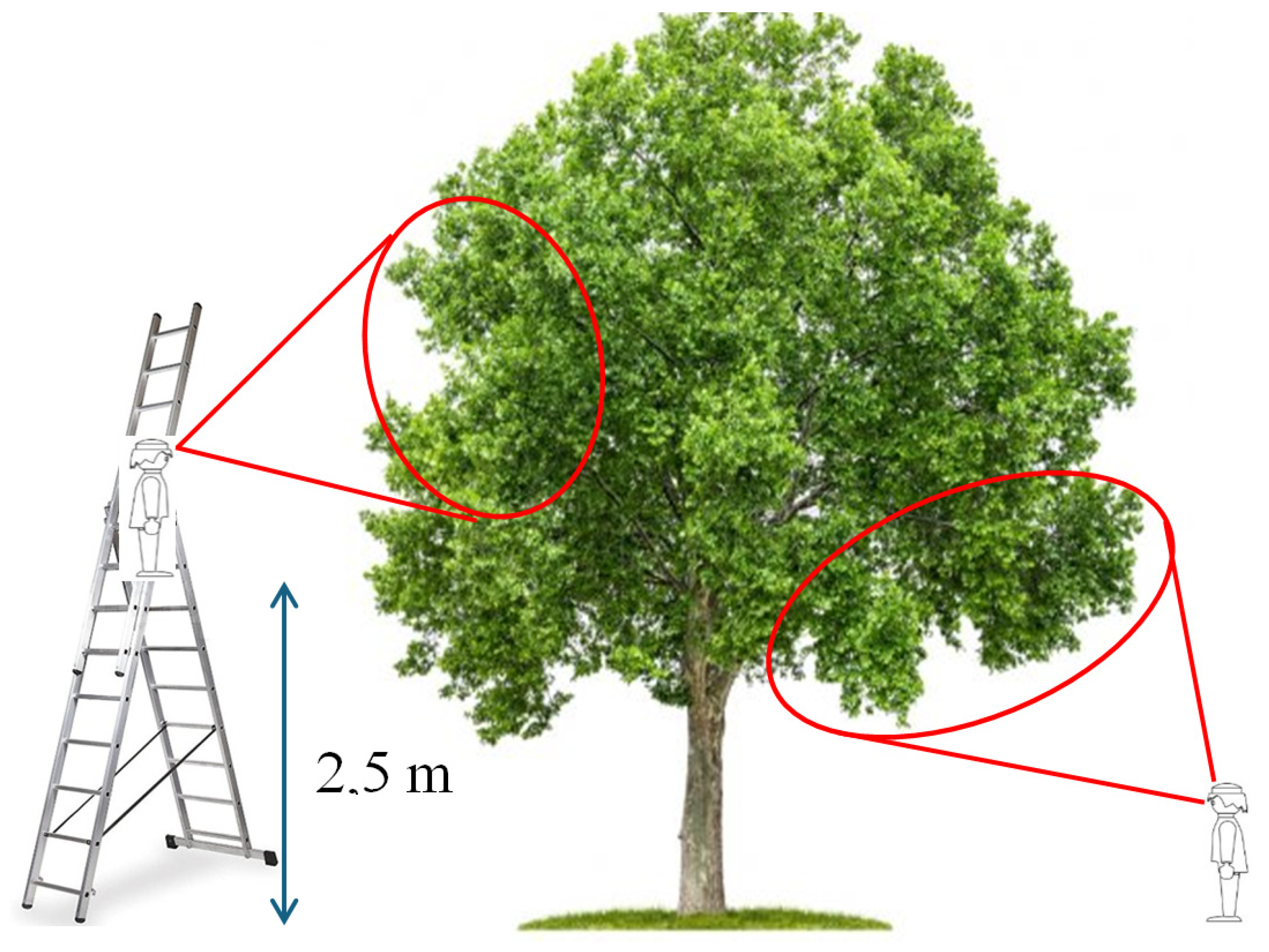 Sustainability 16 11225 g004 Sustainability 16 11225 g004