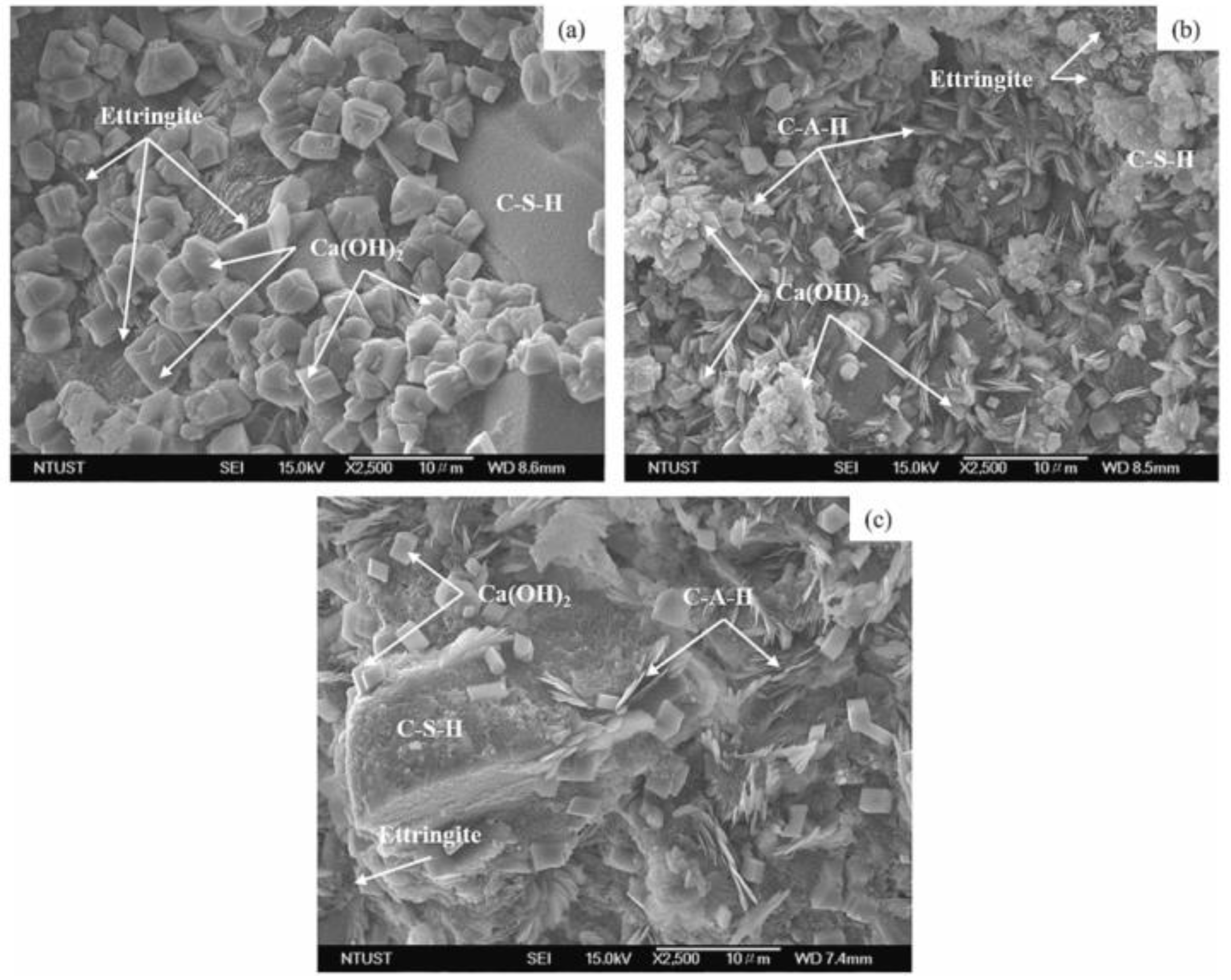 Sustainability 17 00254 g005