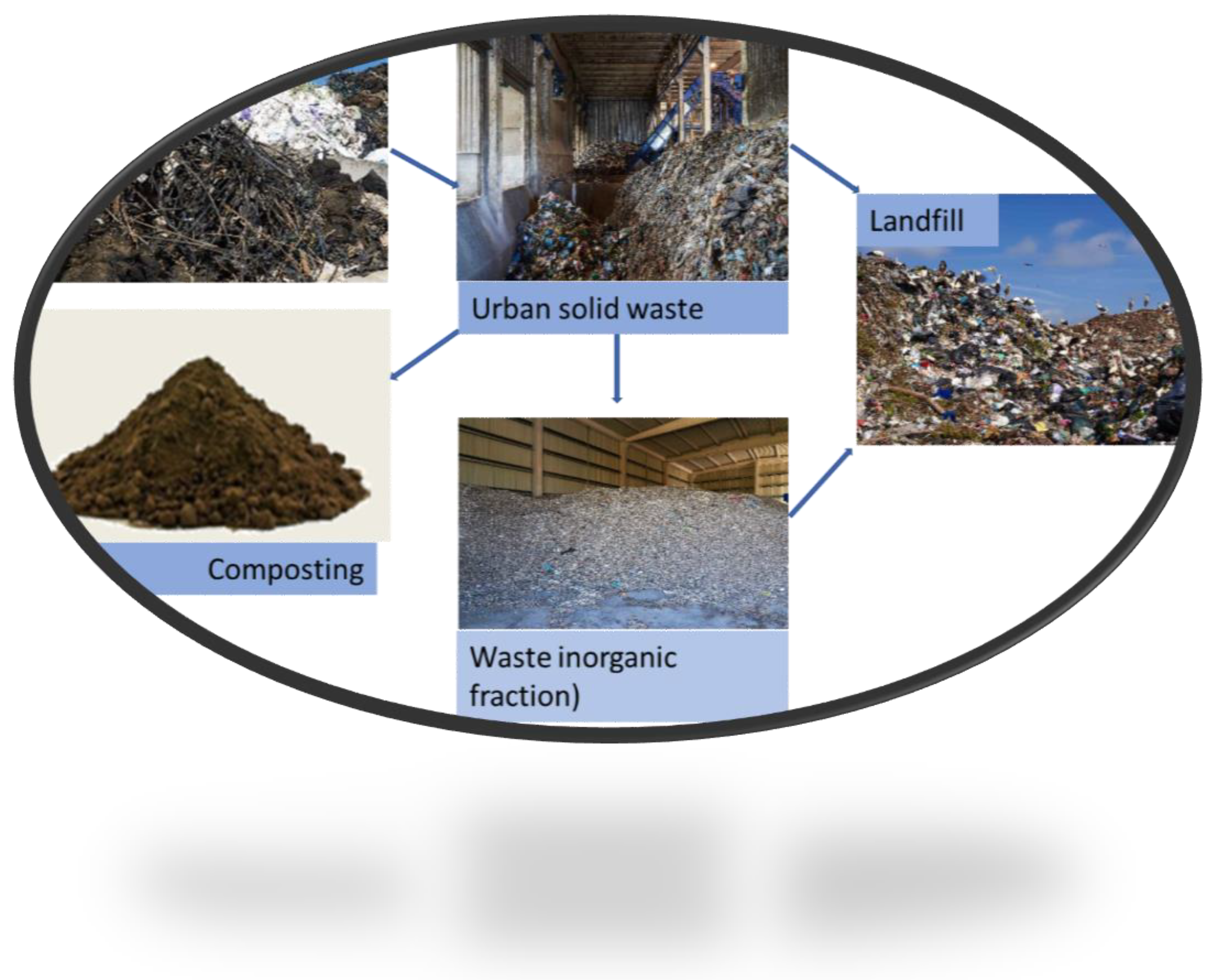 Sustainability 17 00335 g007