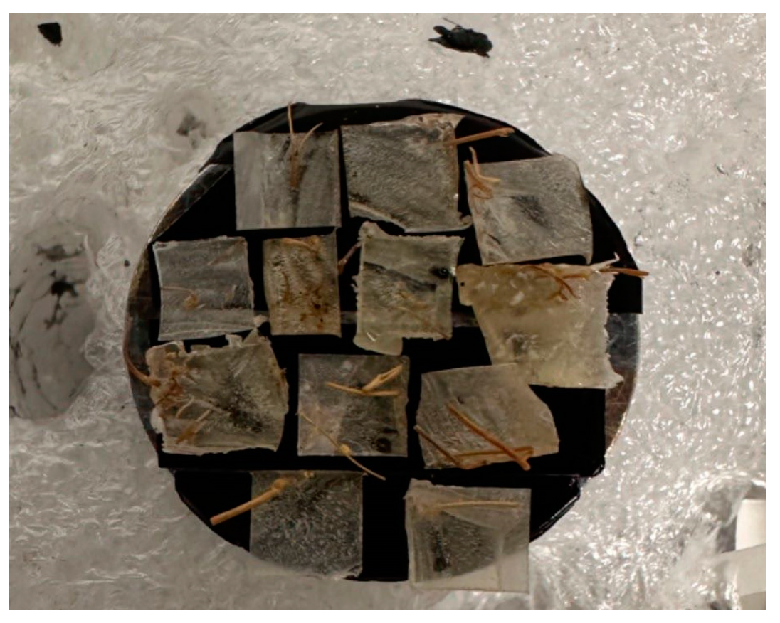 Sustainability 17 00364 g004