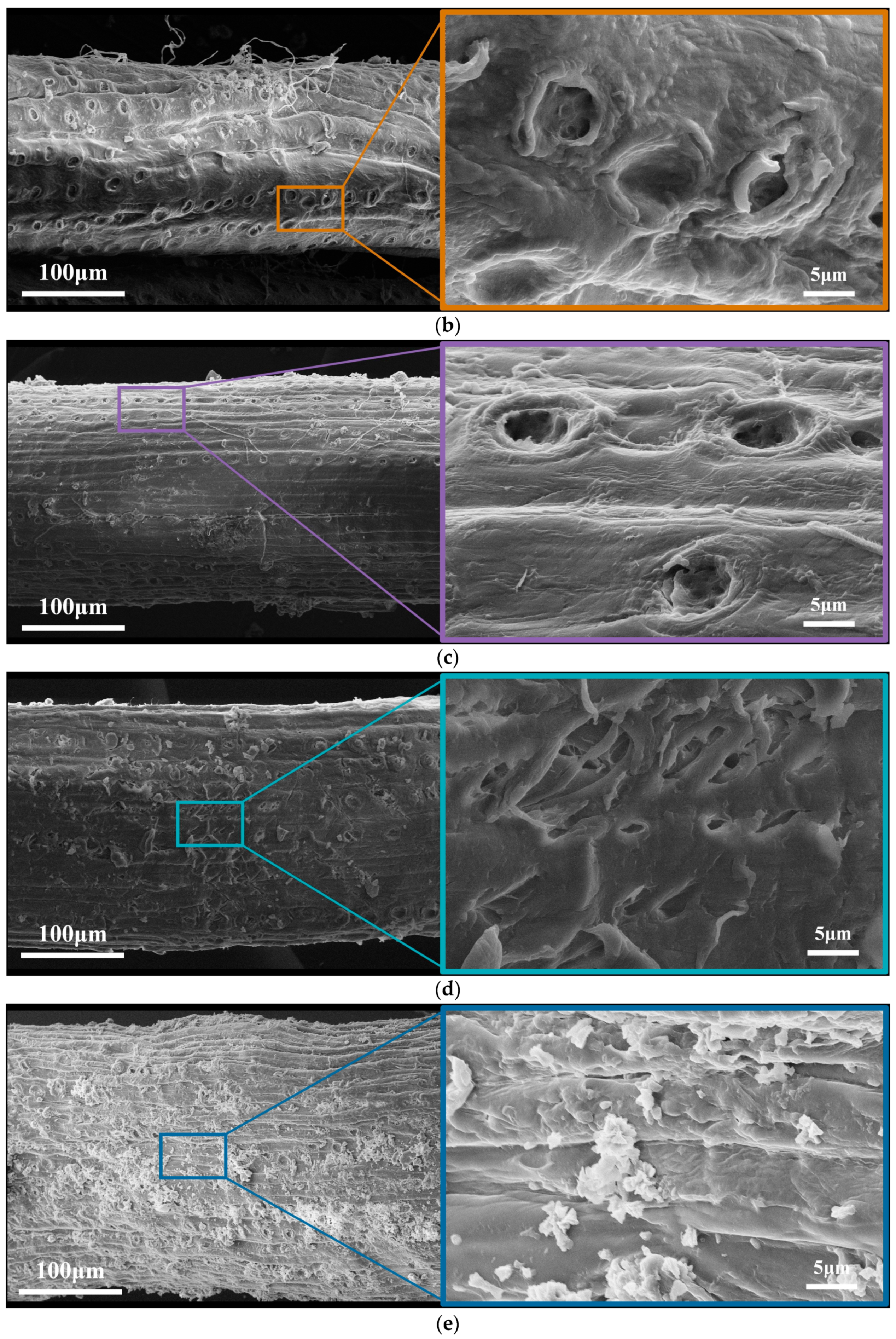Sustainability 17 00364 g011b