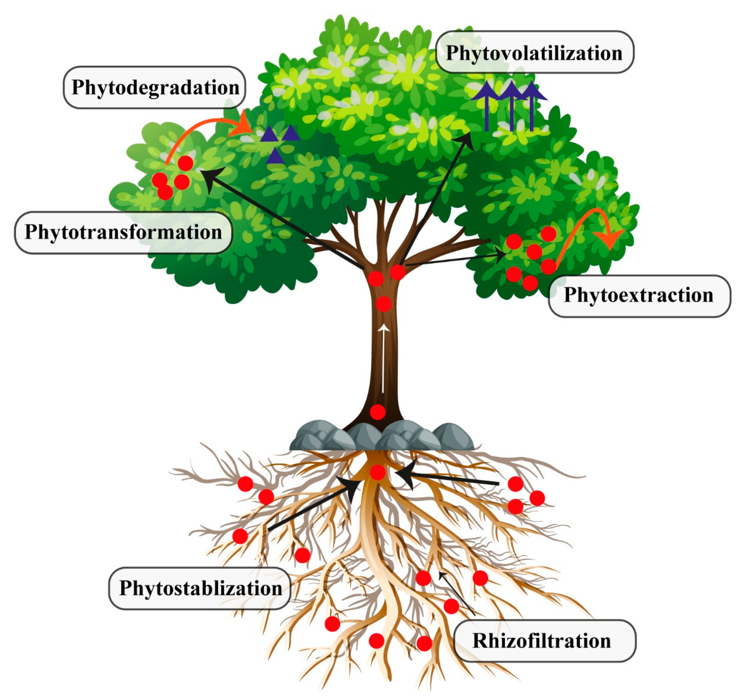 Sustainability 17 00822 g001