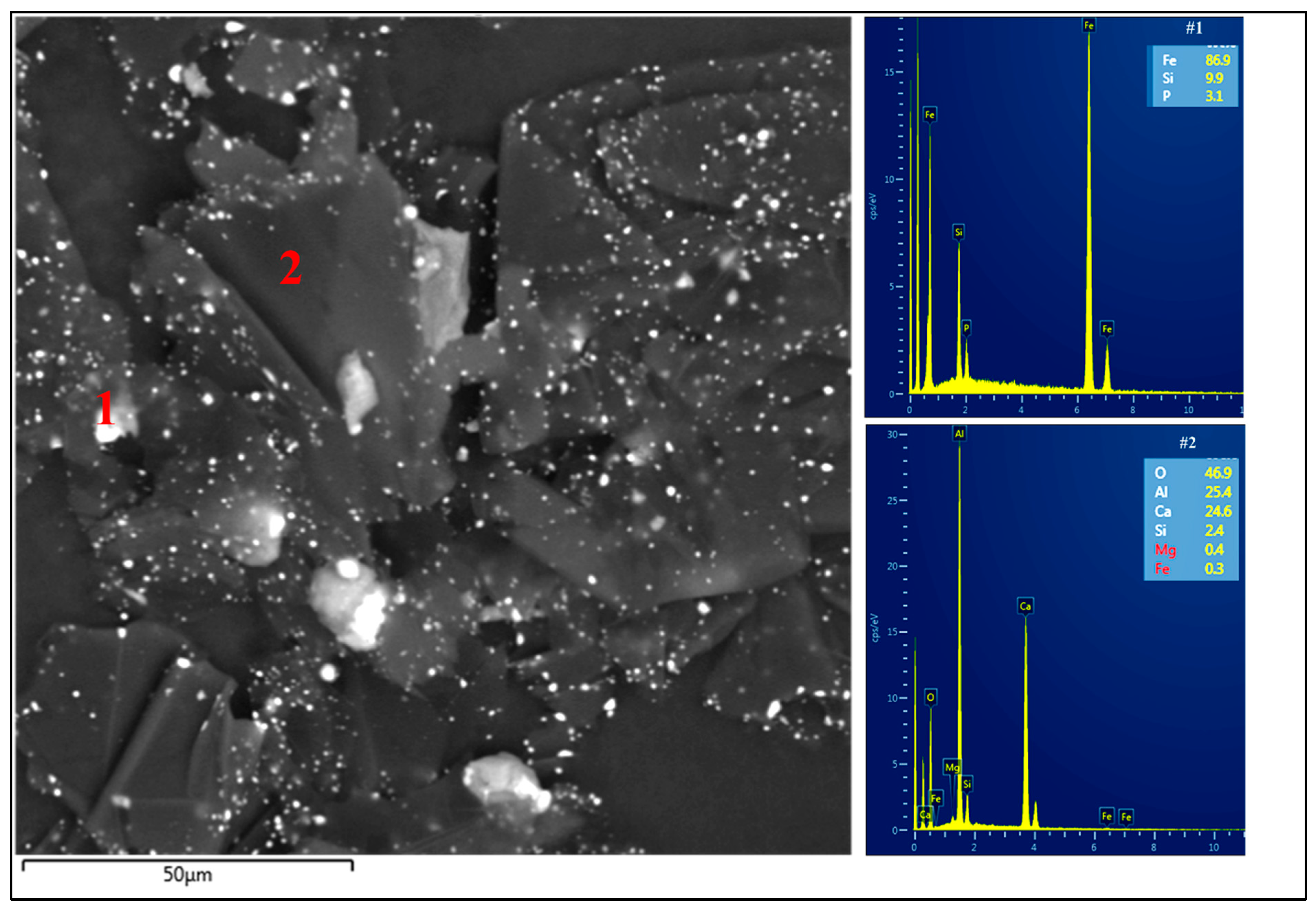 Sustainability 17 01795 g001 Sustainability 17 01795 g001