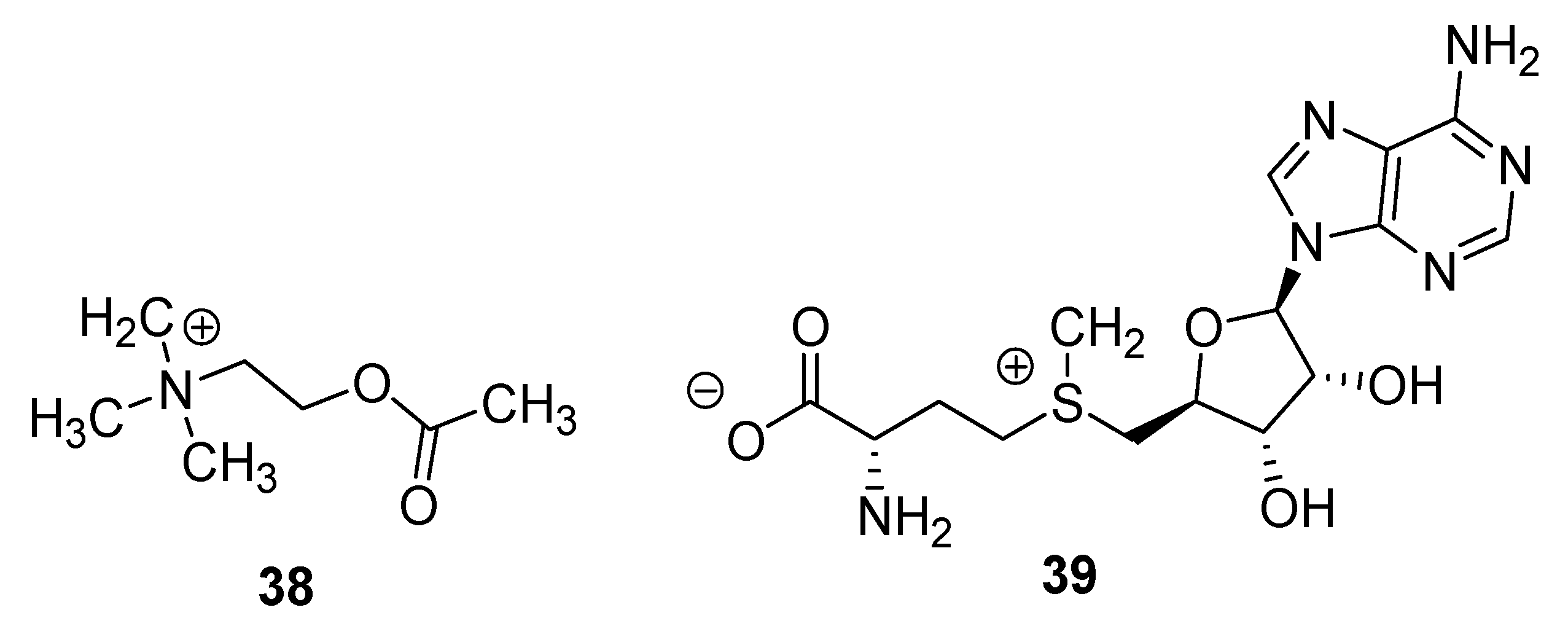 Sustainability 17 02293 g004