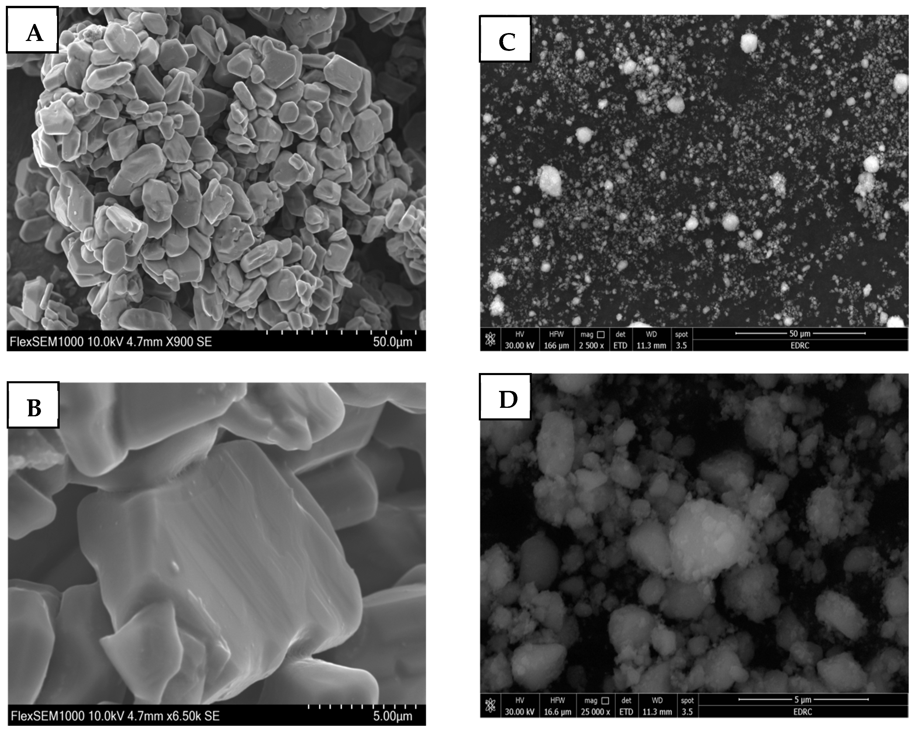 Sustainability 17 02817 g004