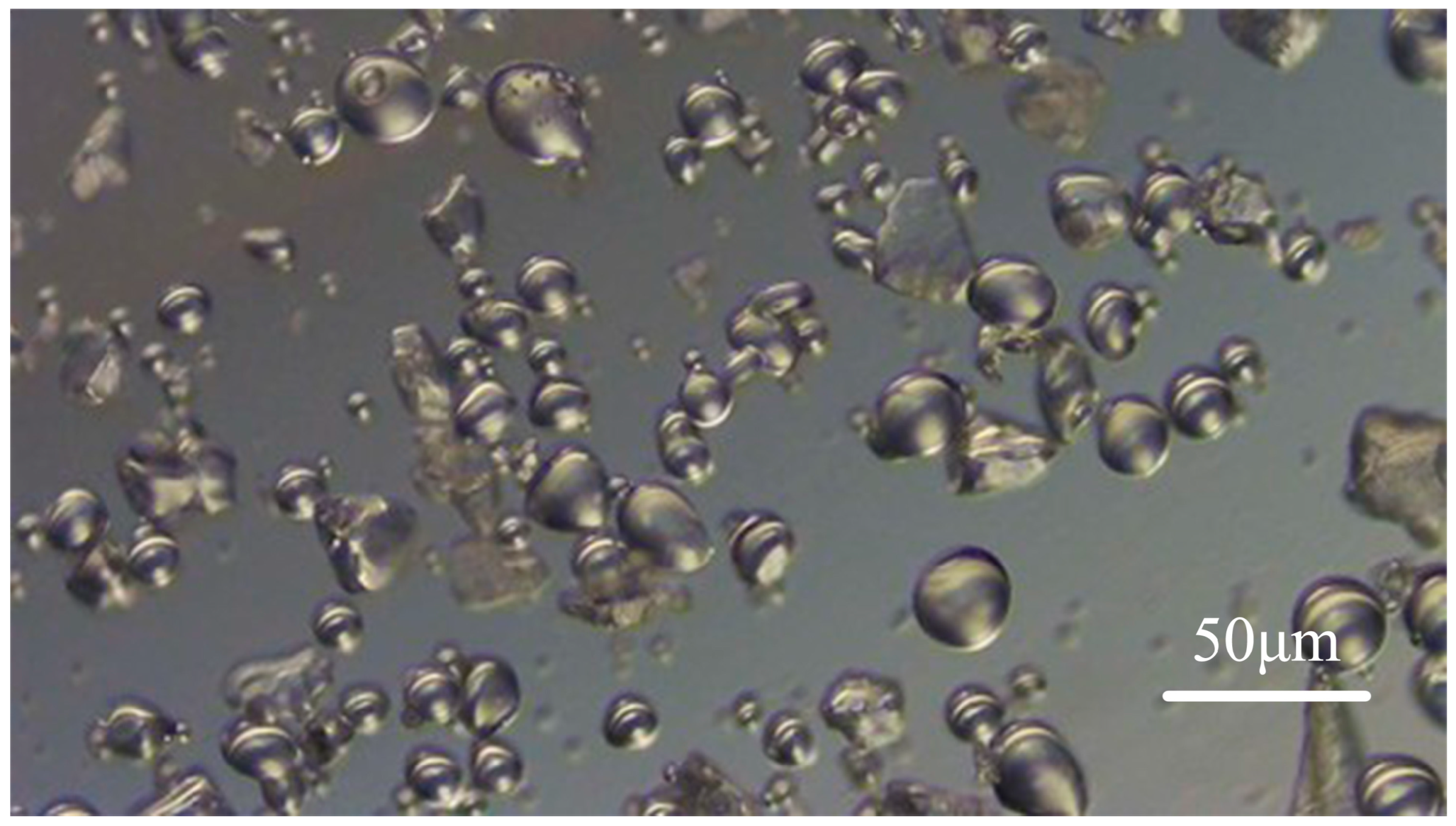 Sustainability 17 03355 g006