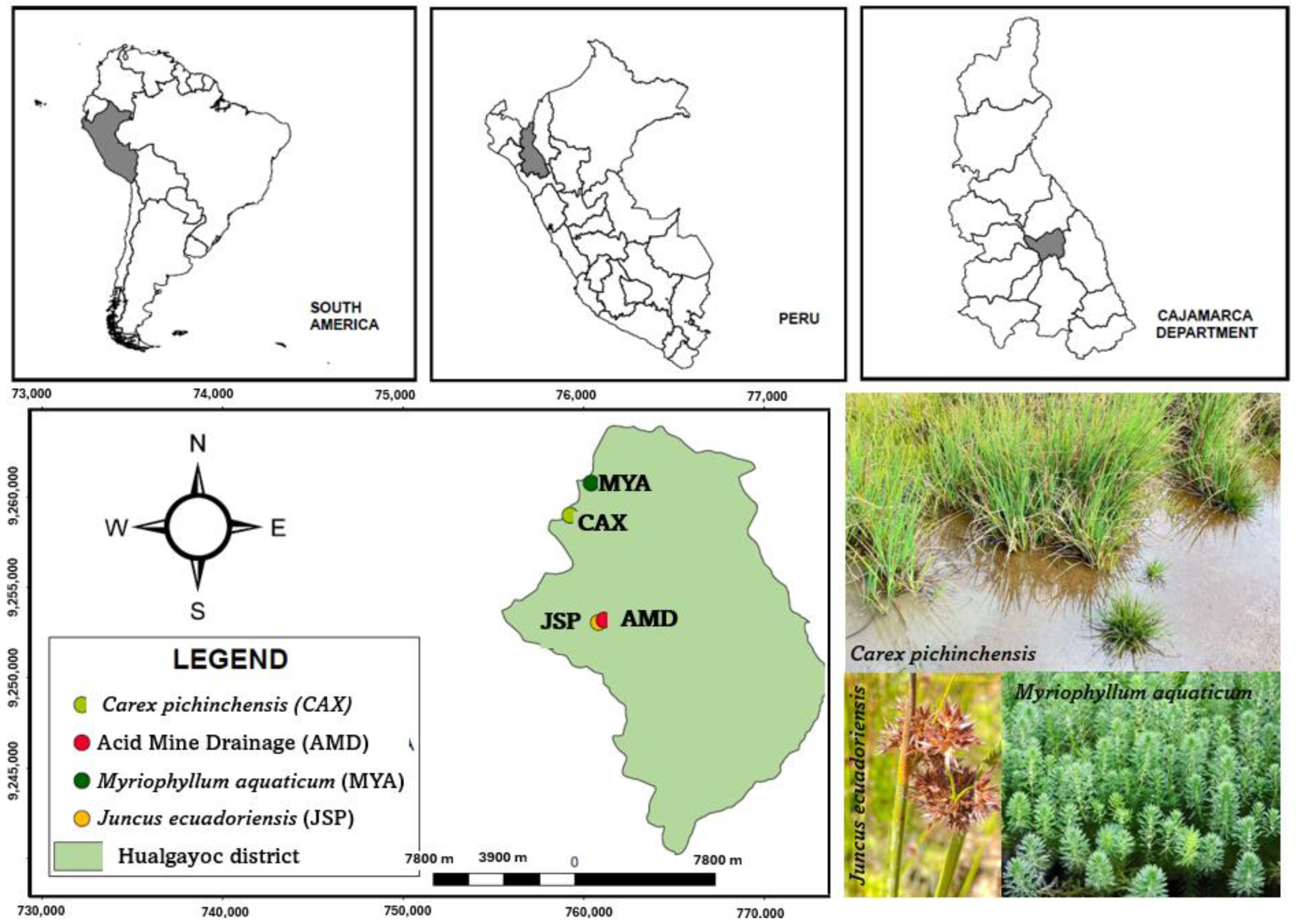 Sustainability 17 03570 g002