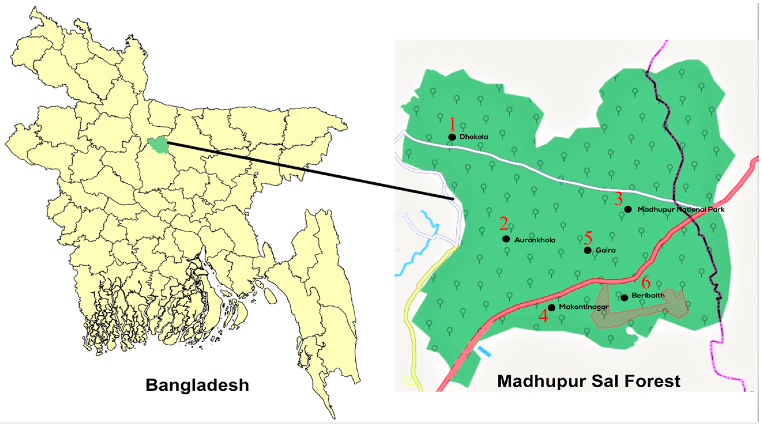 Sustainability 17 03697 g001